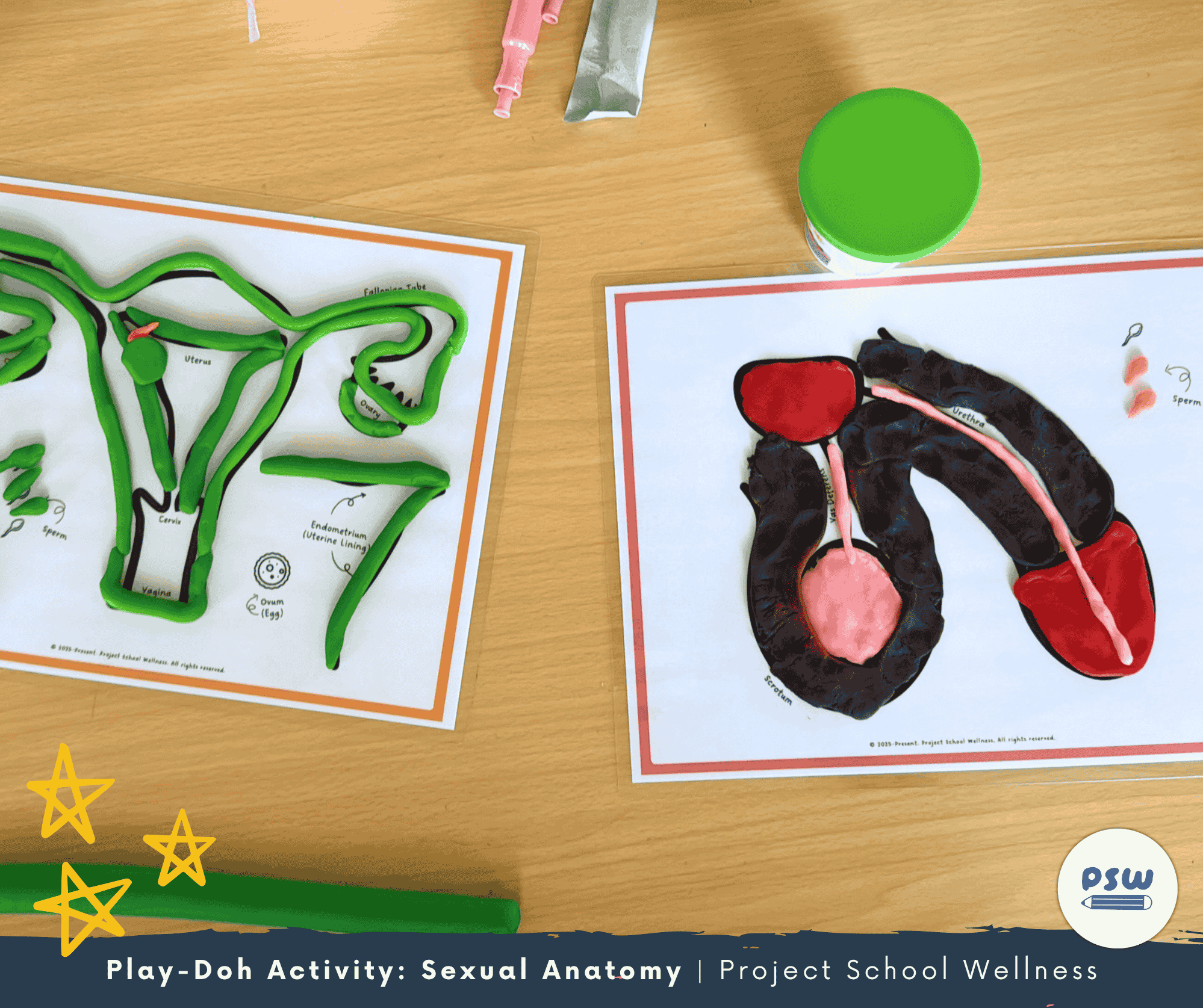 Project School Wellness Health Curriculum And Teaching Resources