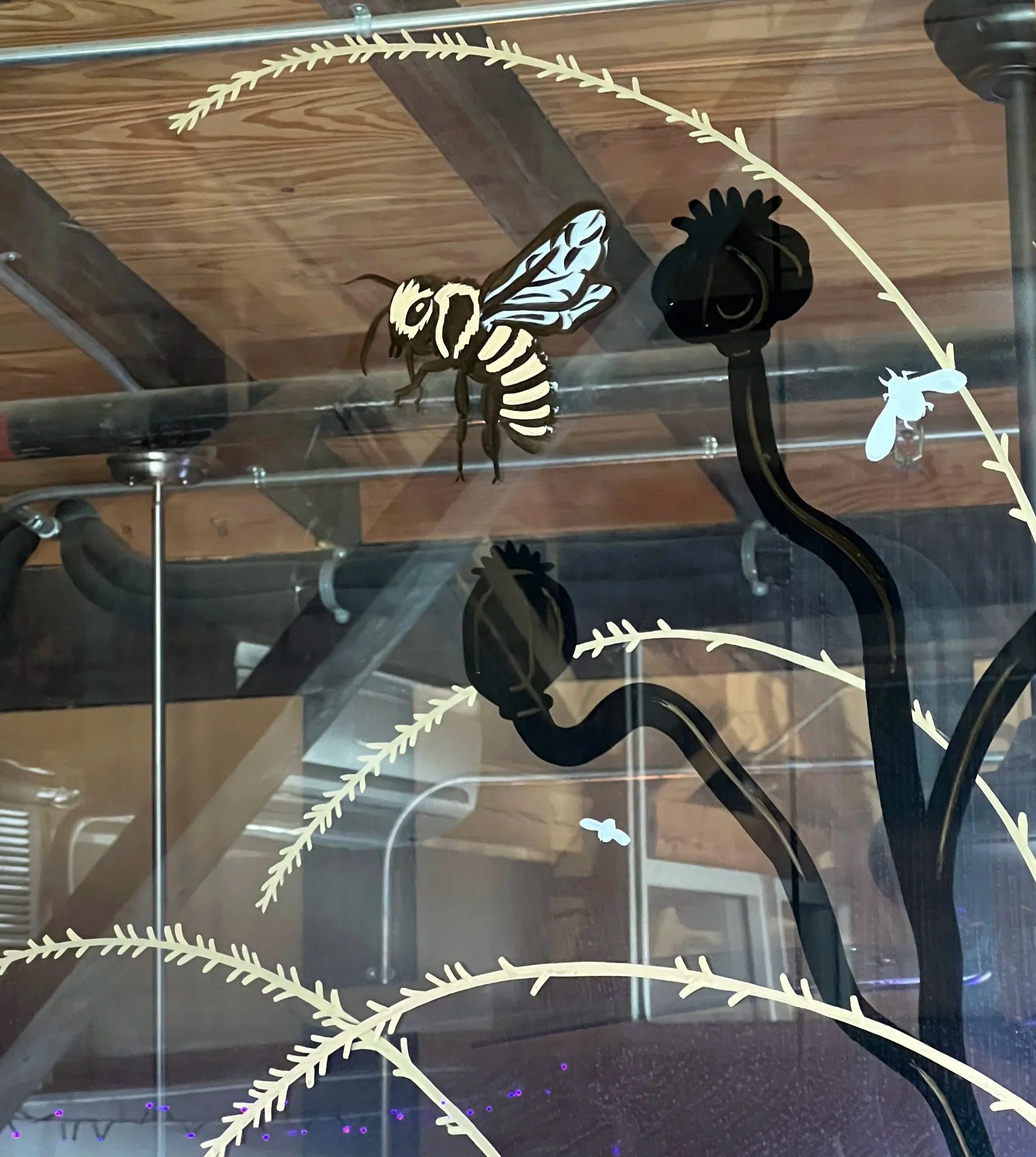 IMG_4359.jpg