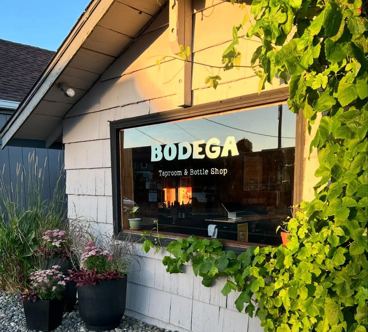 Bodega Taproom & Bottleshop