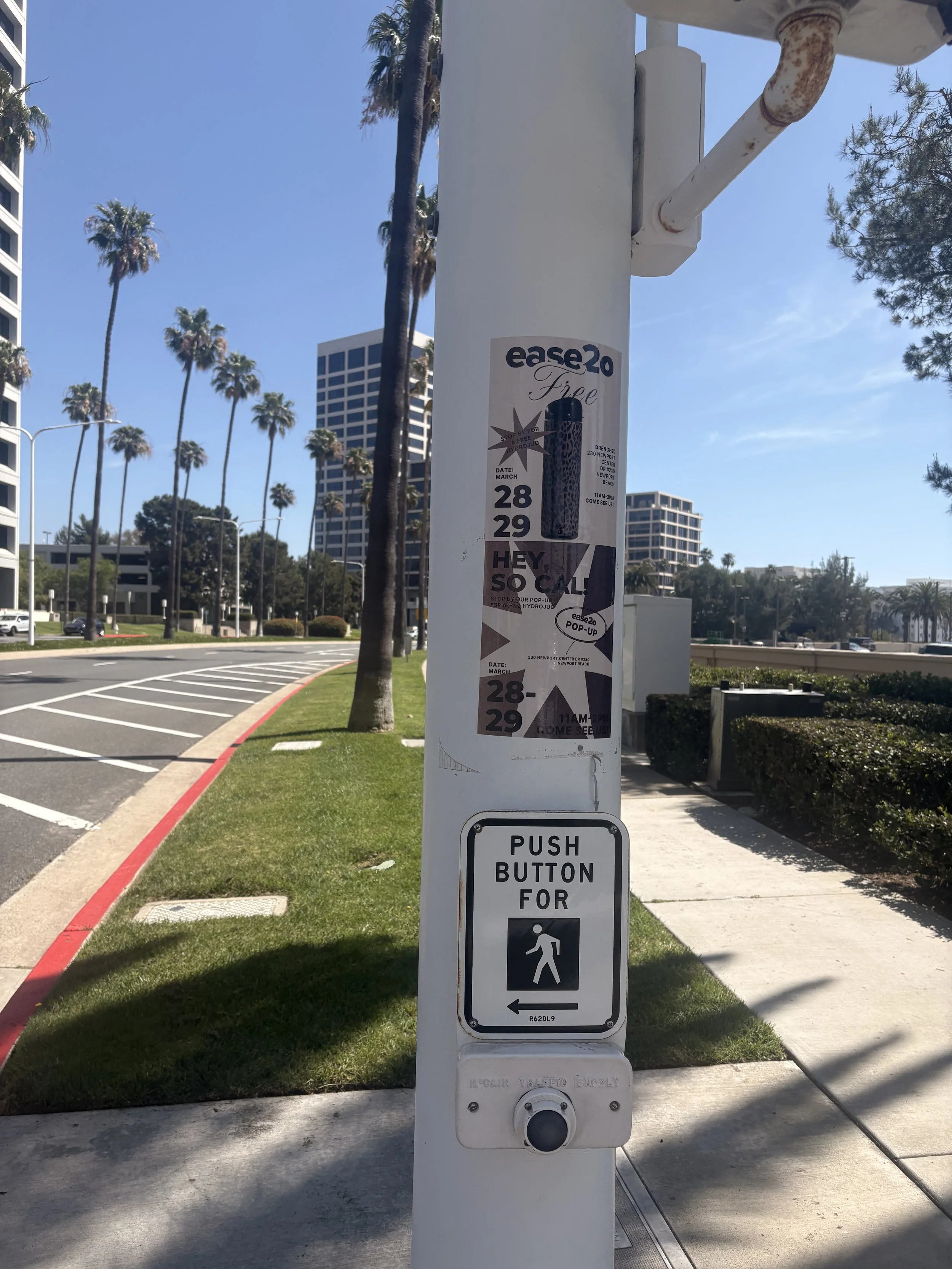 IMG_3402.jpeg