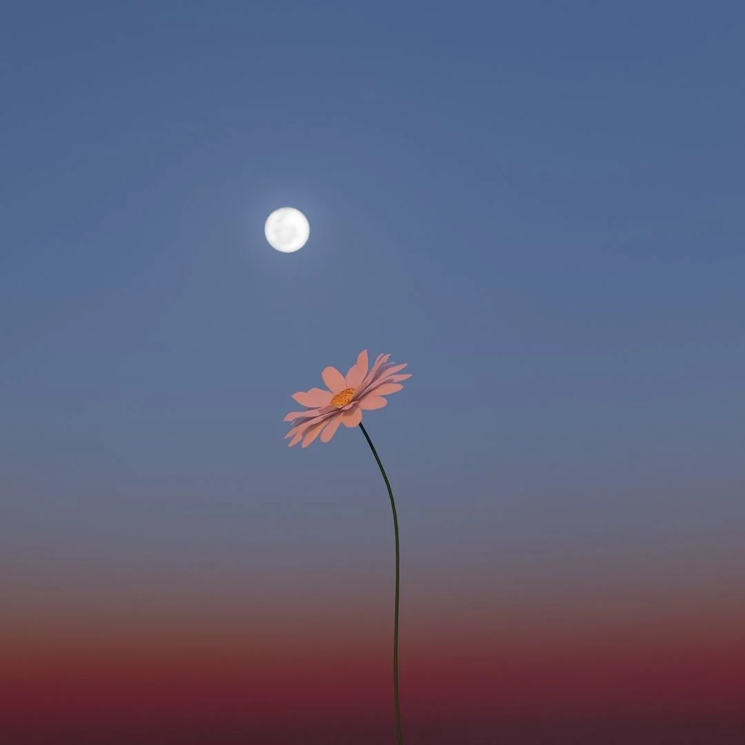 Flower Moon Hike