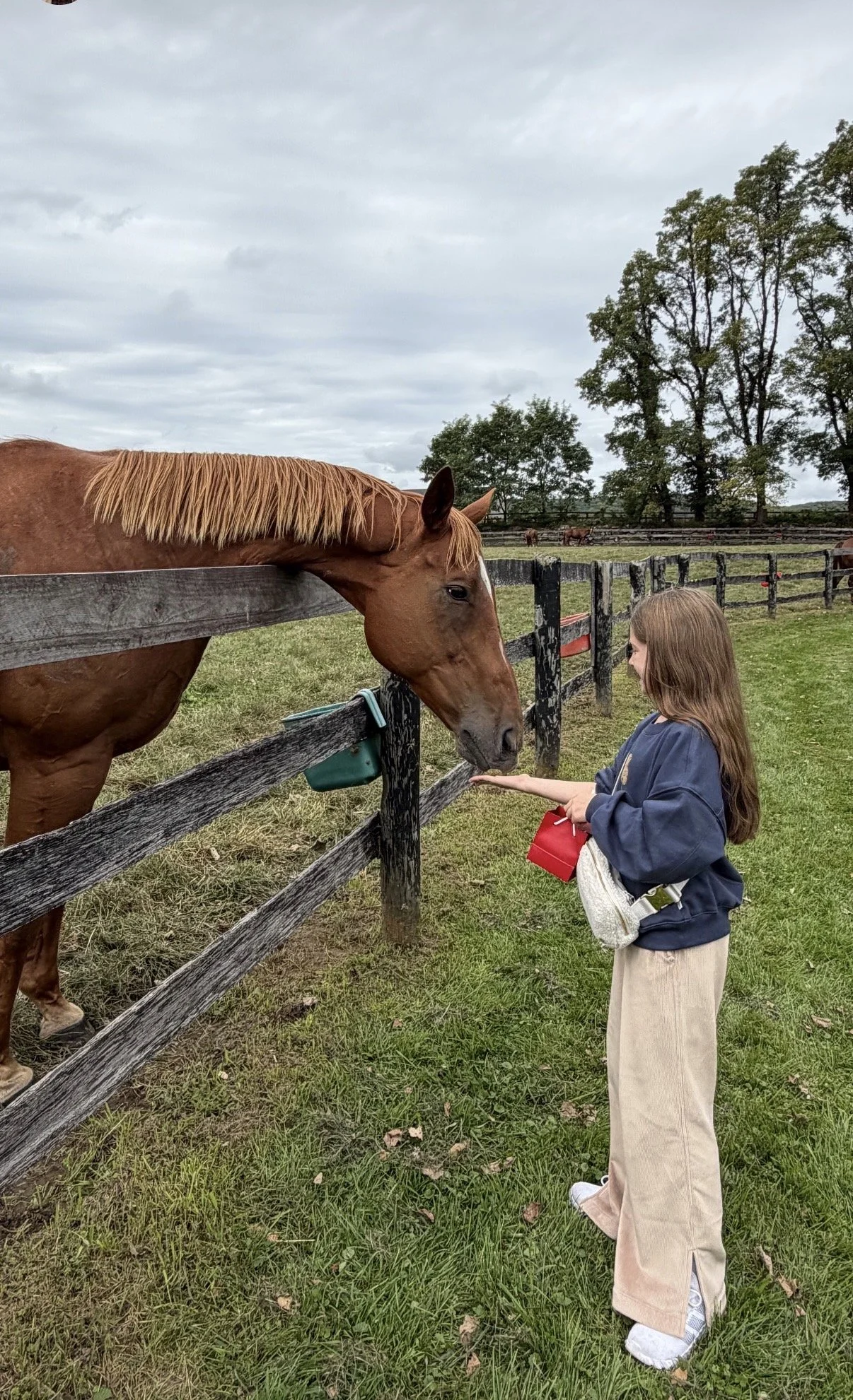 Gus has found his calling in life!