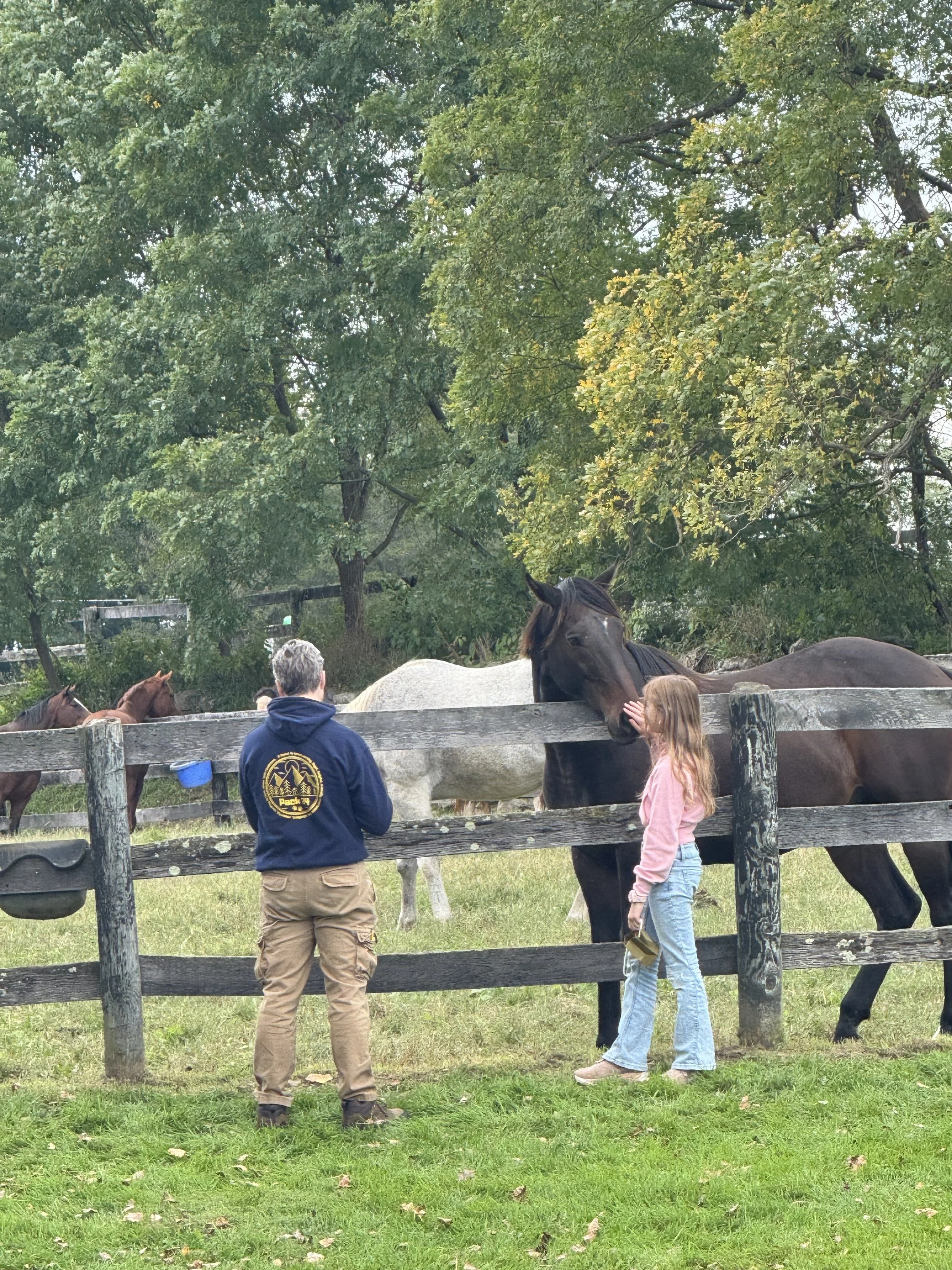 The horses had the best time!