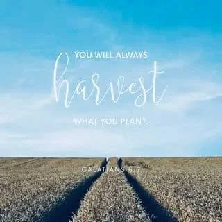 Bitter or better….
Life is hard at times… maybe more times than we care to admit. We constantly have hard choices to make when tough stuff happens…. Do I want to use the hard things around me to become a better me… or do