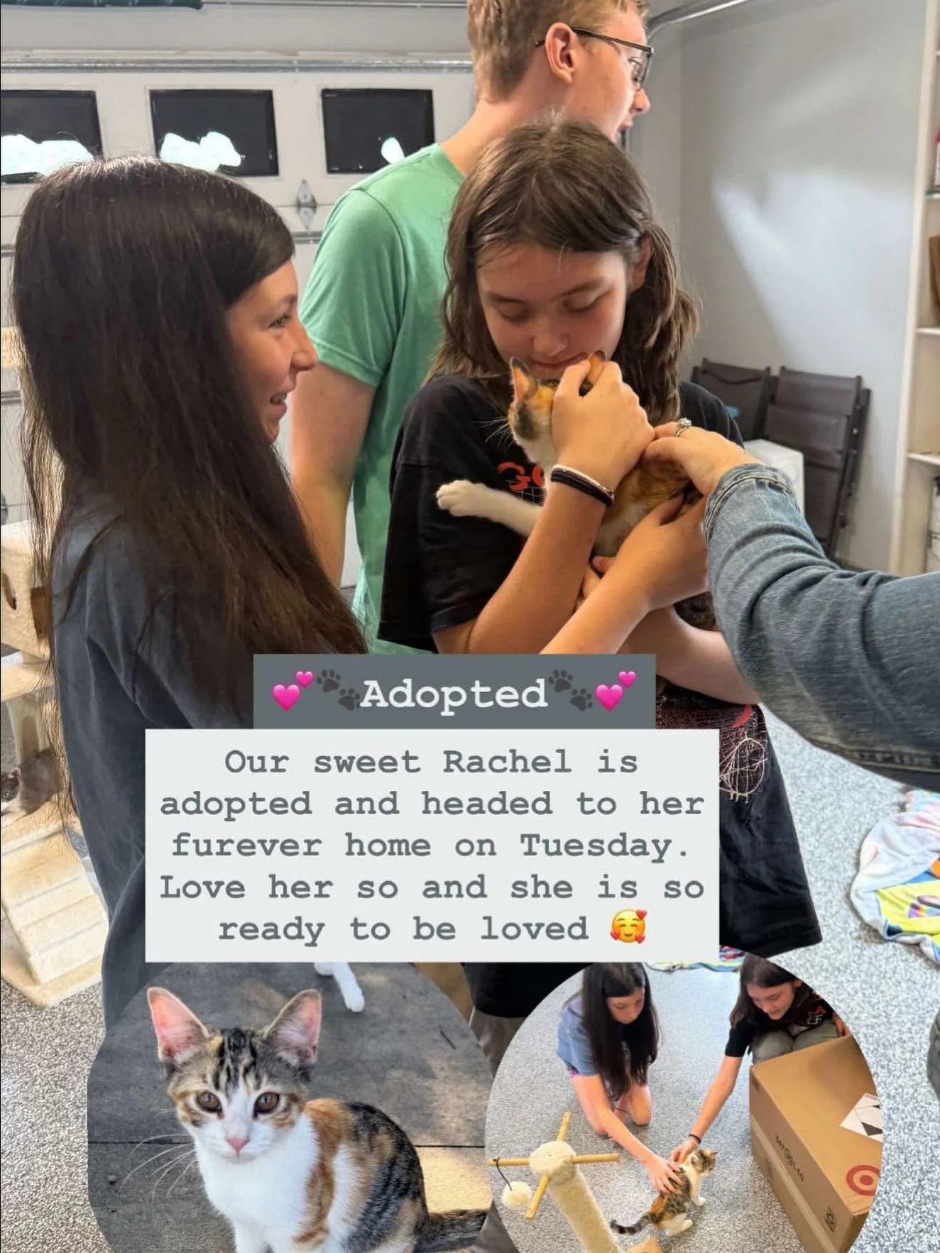 “Ours”
They have been begging for a together family member forever….
🐈Shiloh was Aria’s back in the day
🐕‍🦺Luna was my break free pup to help us have our emotional support animal
🦮Rocky came to be during Vincent