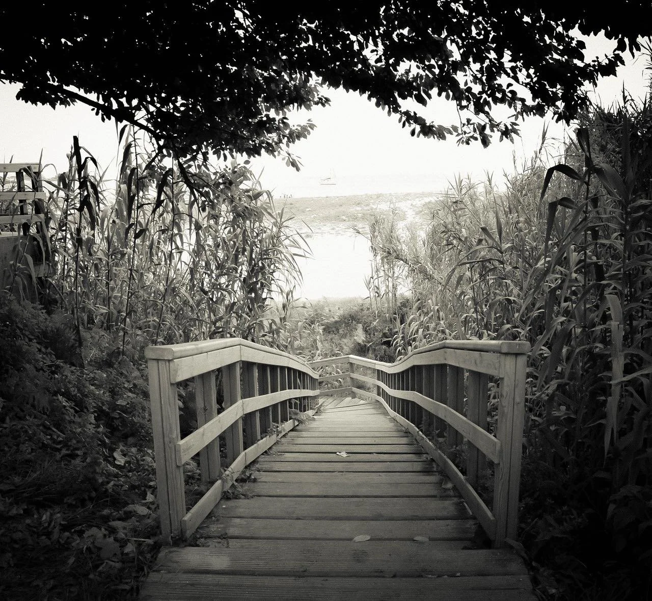 Stepping out into the uncomfortable…
It can be easy to just do what we have always done, but what if…
What if we discover something we are good at by taking a chance? The alternative is that we would never know.
What if bigger things