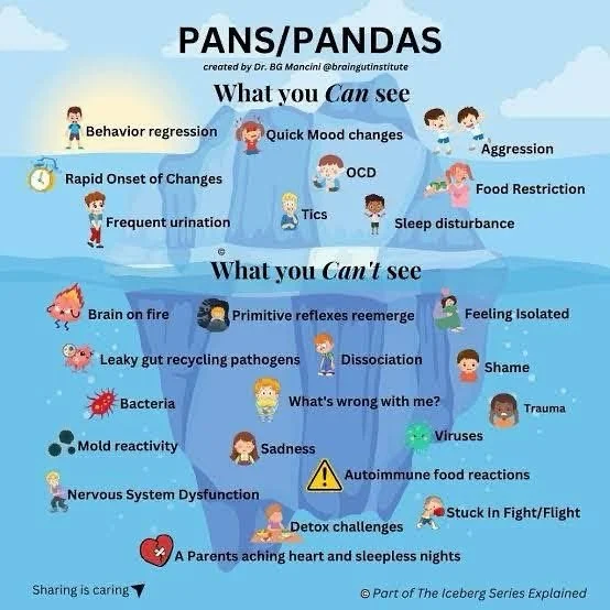What if it’s not just “bad” behavior?
What if their brain is on fire?
What if they feel like there are multiple people within them?
What if?????
Today is PANS/PANDAS Awareness Day
So what should we be aware of??? This is a medi