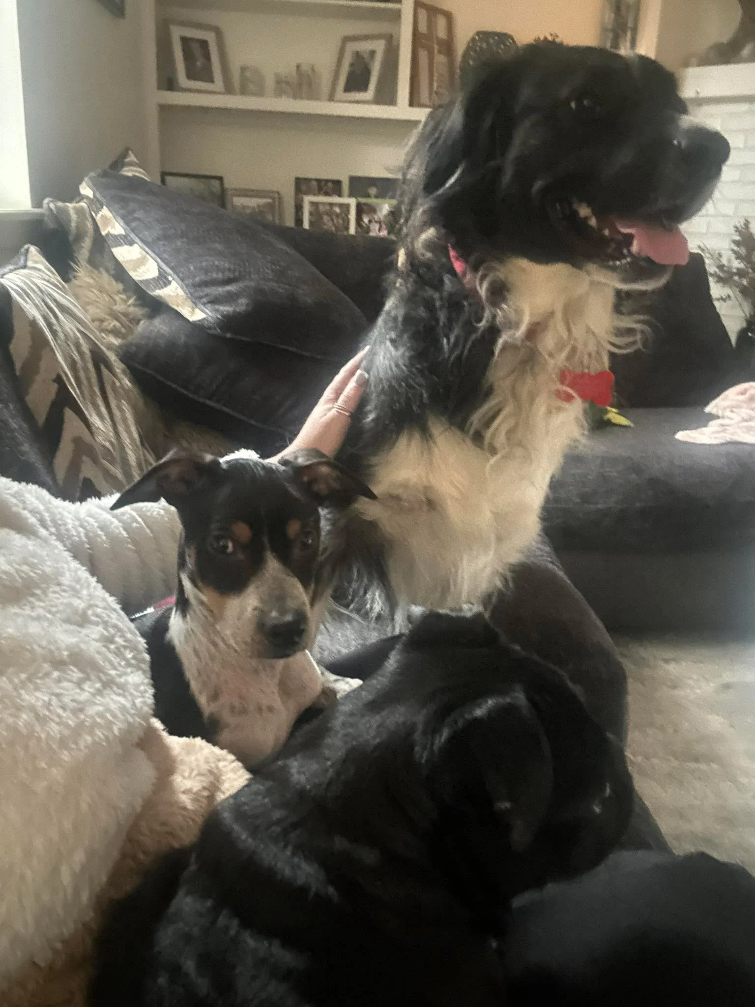 &ldquo;Welcome home mom! This space will now be occupied indefinitely!&rdquo;