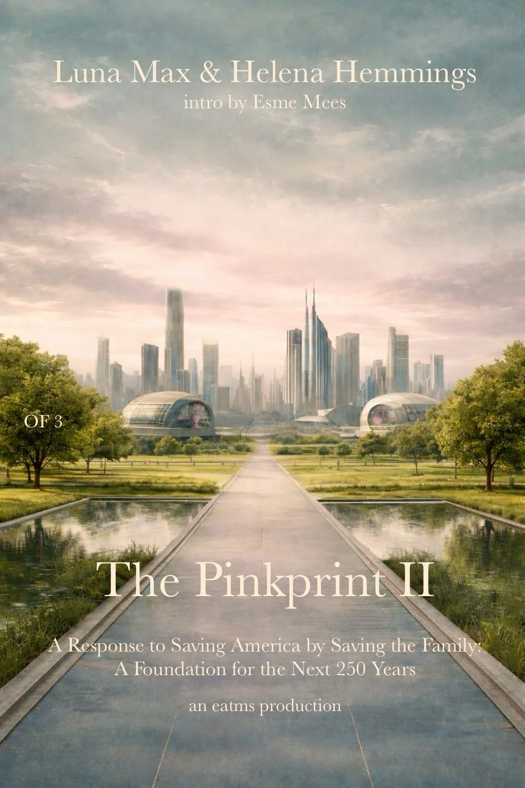 *The Pinkprint II Cover Final.jpg