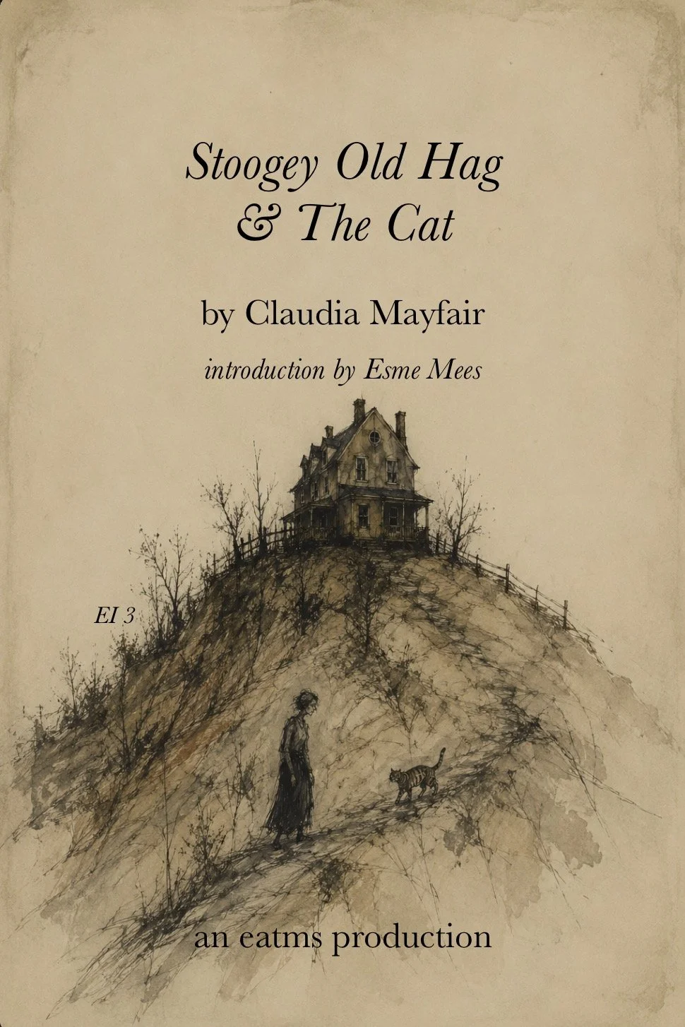Stoogey Old Hag & The Cat Cover Final.jpeg