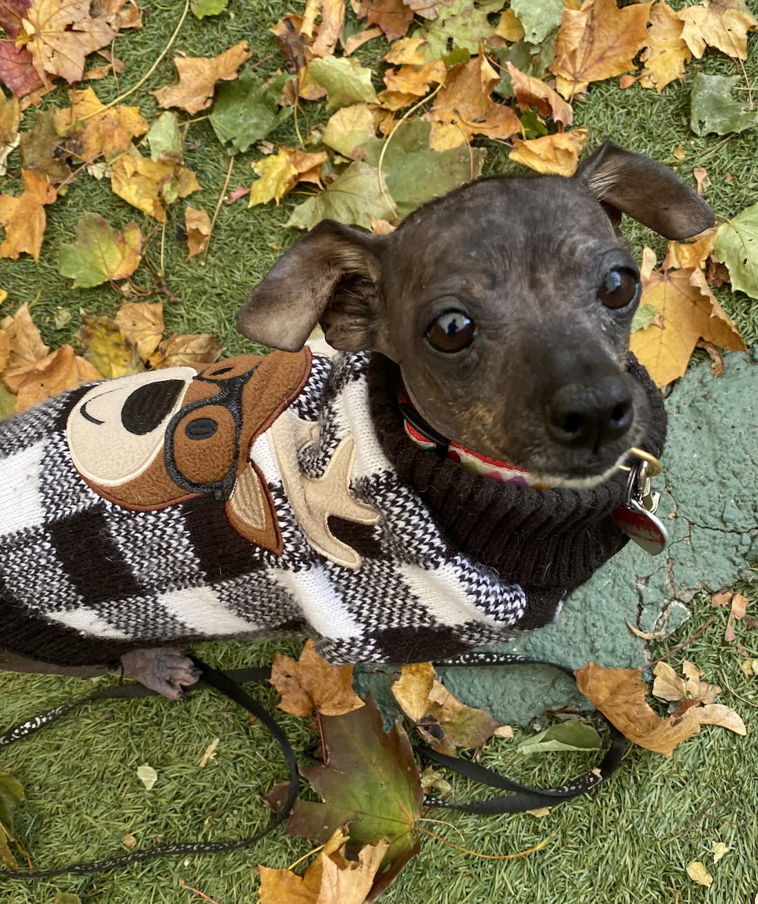 Screenshot 2025-11-21 at 9.06.07 PM.png