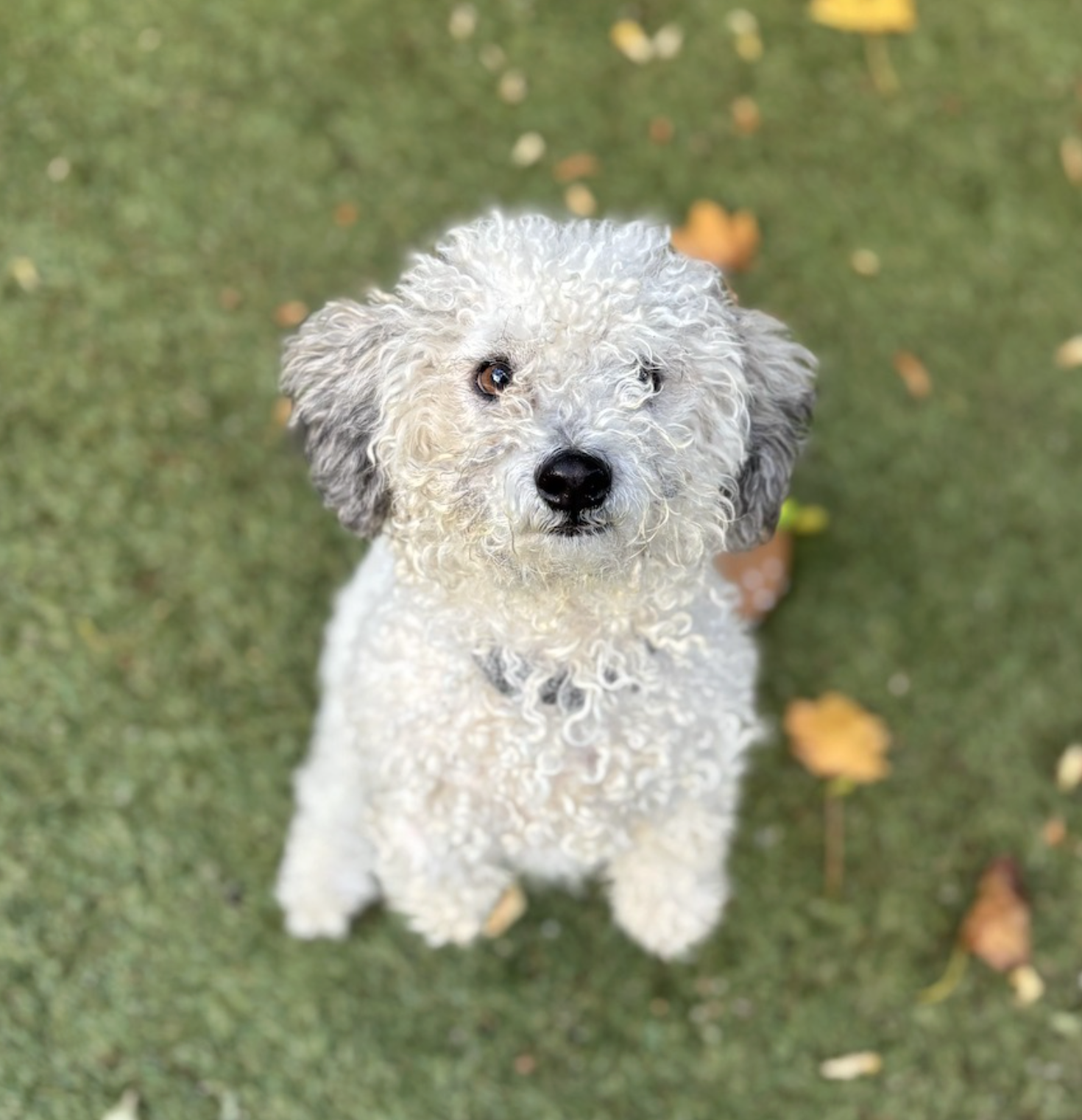 Screenshot 2025-11-24 at 1.06.02 PM.png