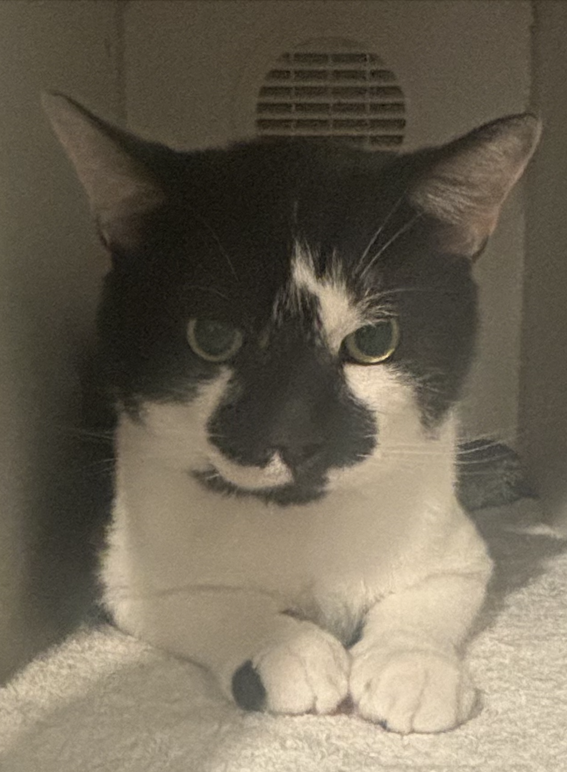 Screenshot 2025-09-09 at 3.02.05 PM.png