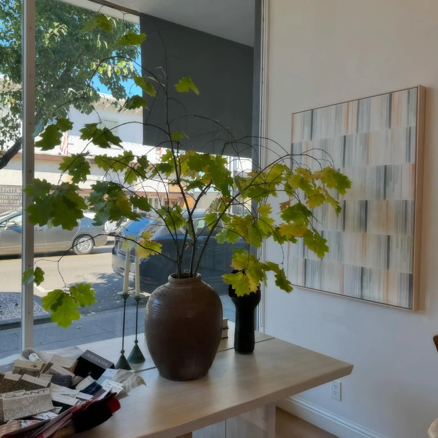 Bright, beautiful broad leaf oak dancing in the window in San Anselmo @millroad.studio 
What a lovely space.