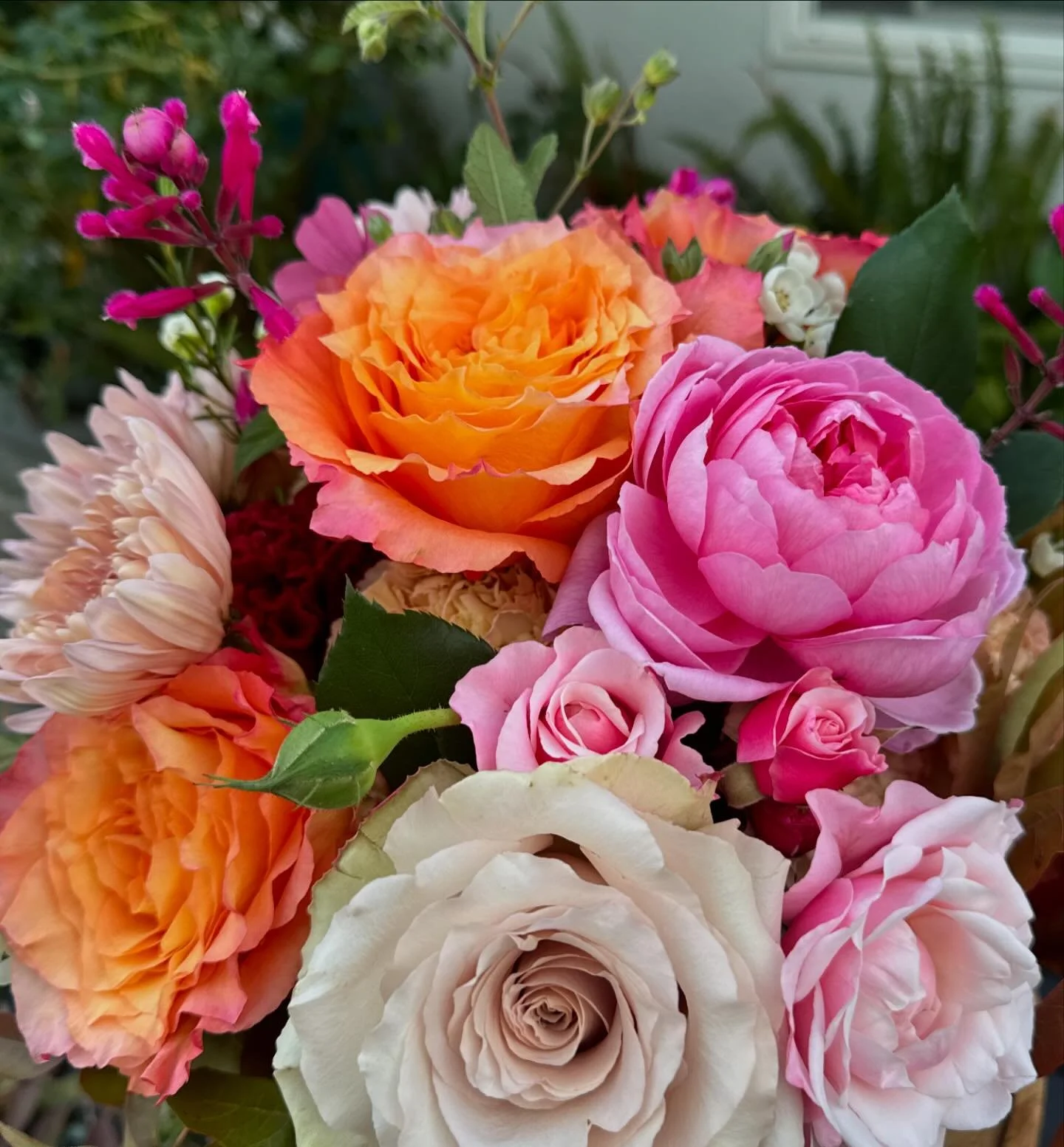 Sending flowers to a friend in hospital is always appreciated 🥰
