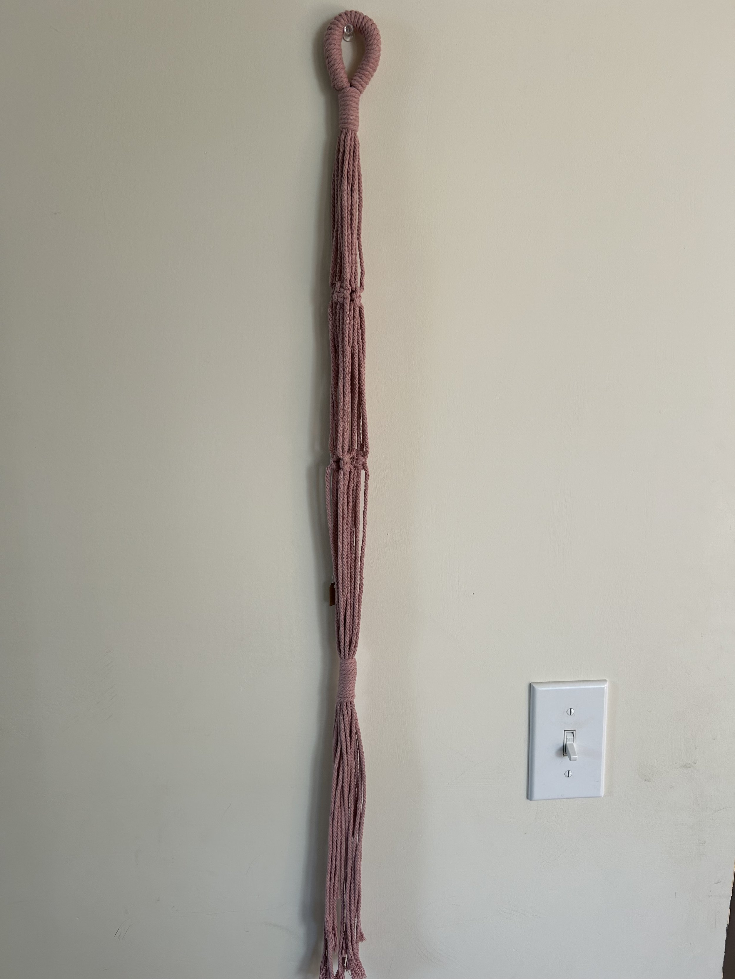 IMG_3219.jpeg