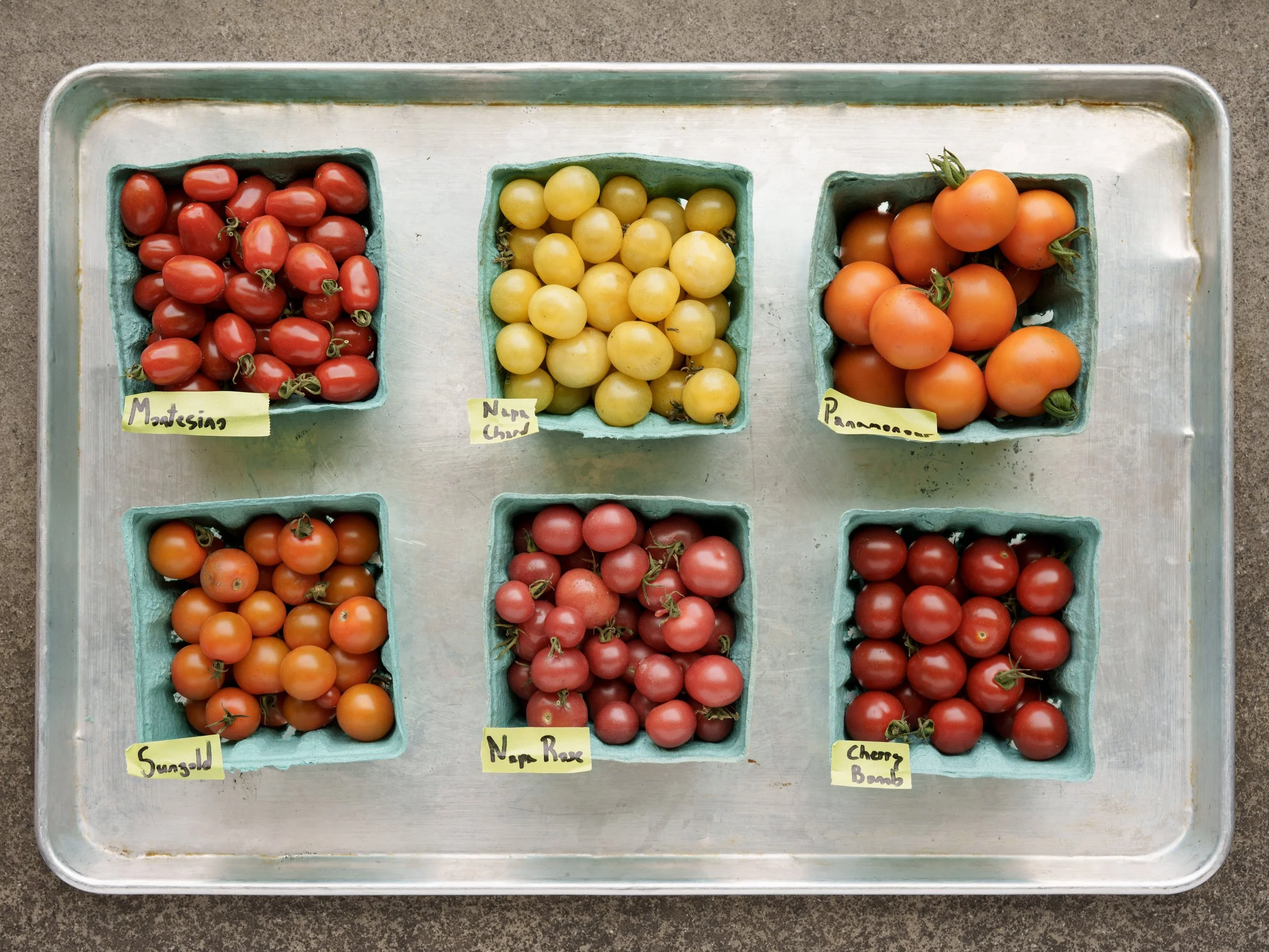 Botanical Beverages | Tomatoes