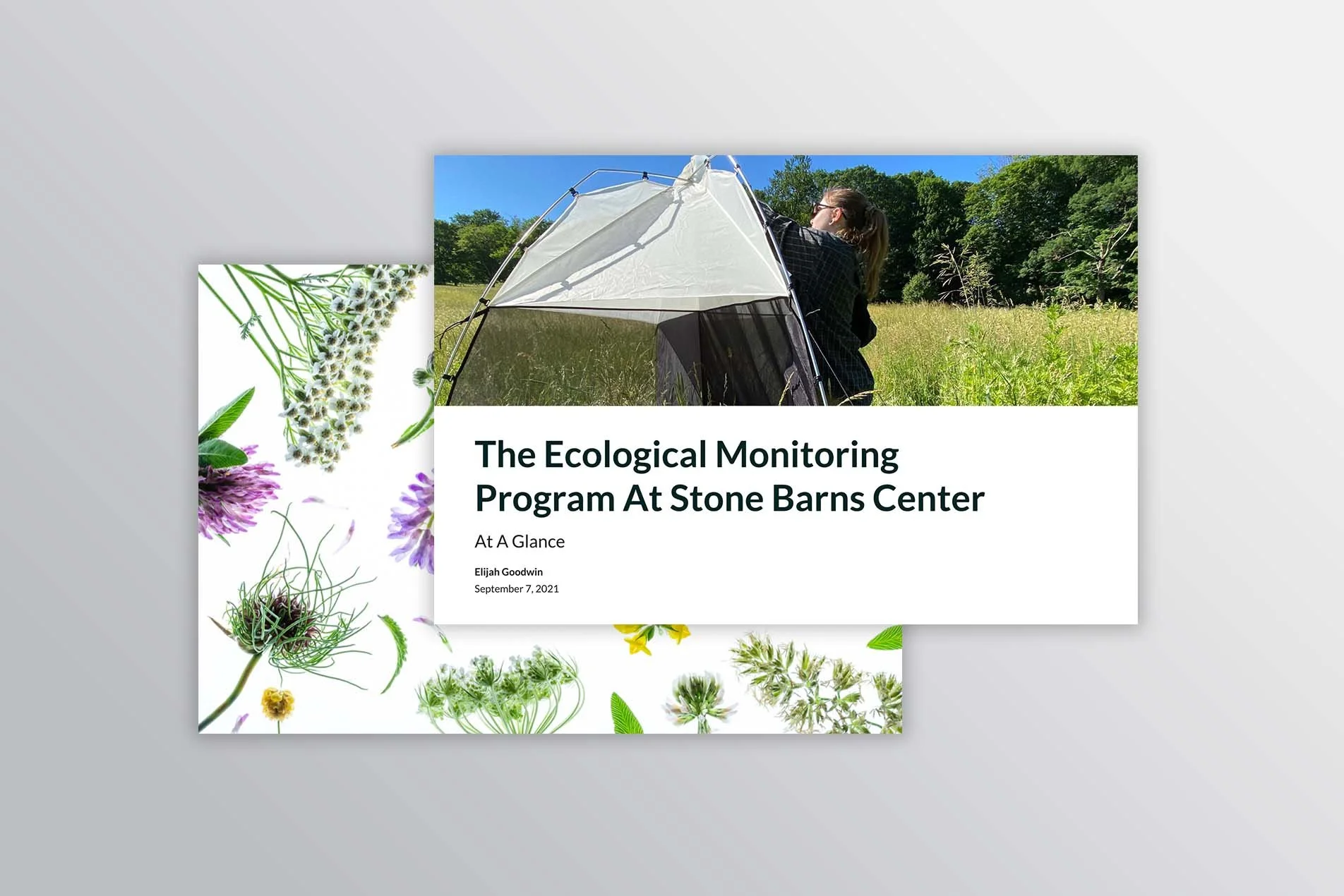 The Ecological Monitoring Program at Stone Barns