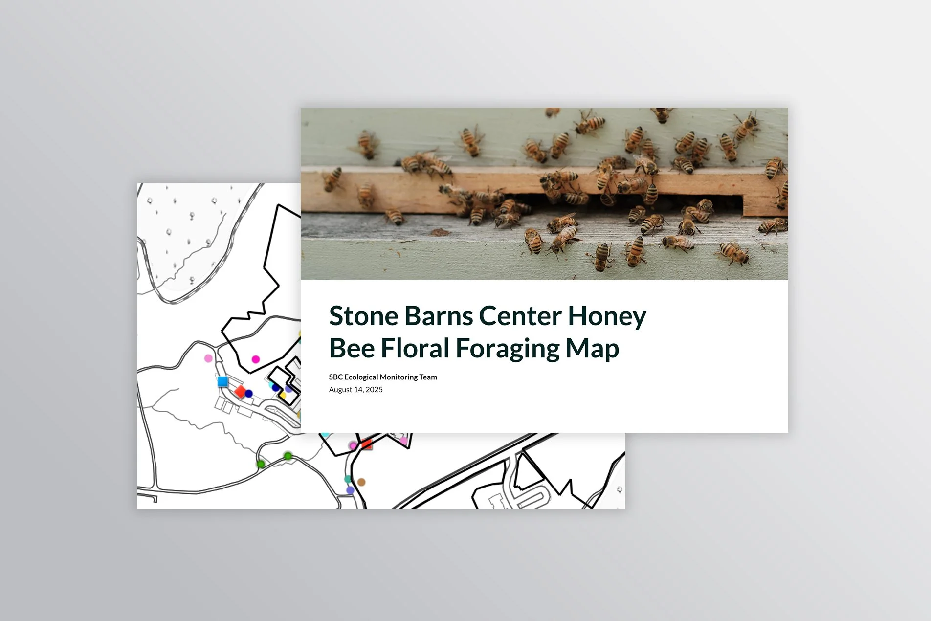 Stone Barns Honey bee Floral Foraging Map