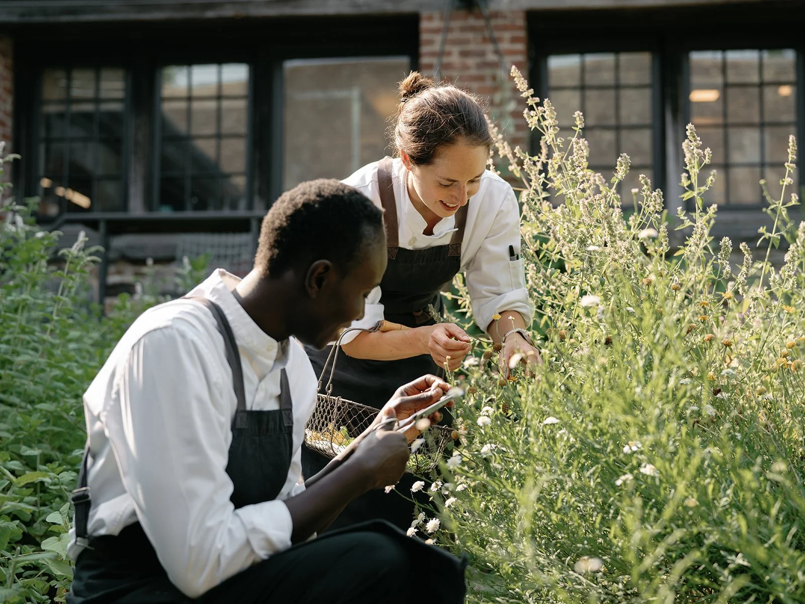 Member Cooking Class | Foraged Feast