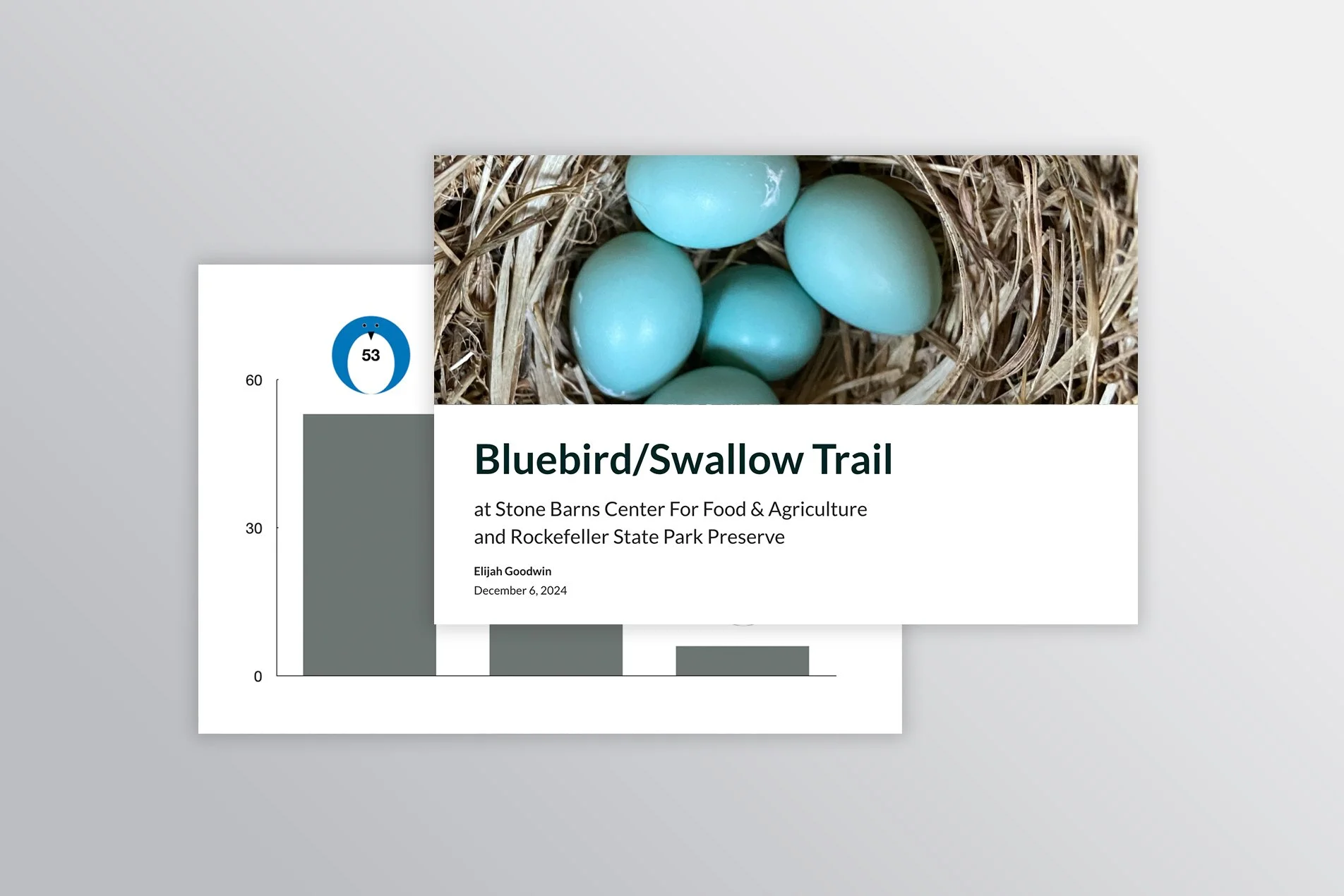 Bluebird/Swallow Trail