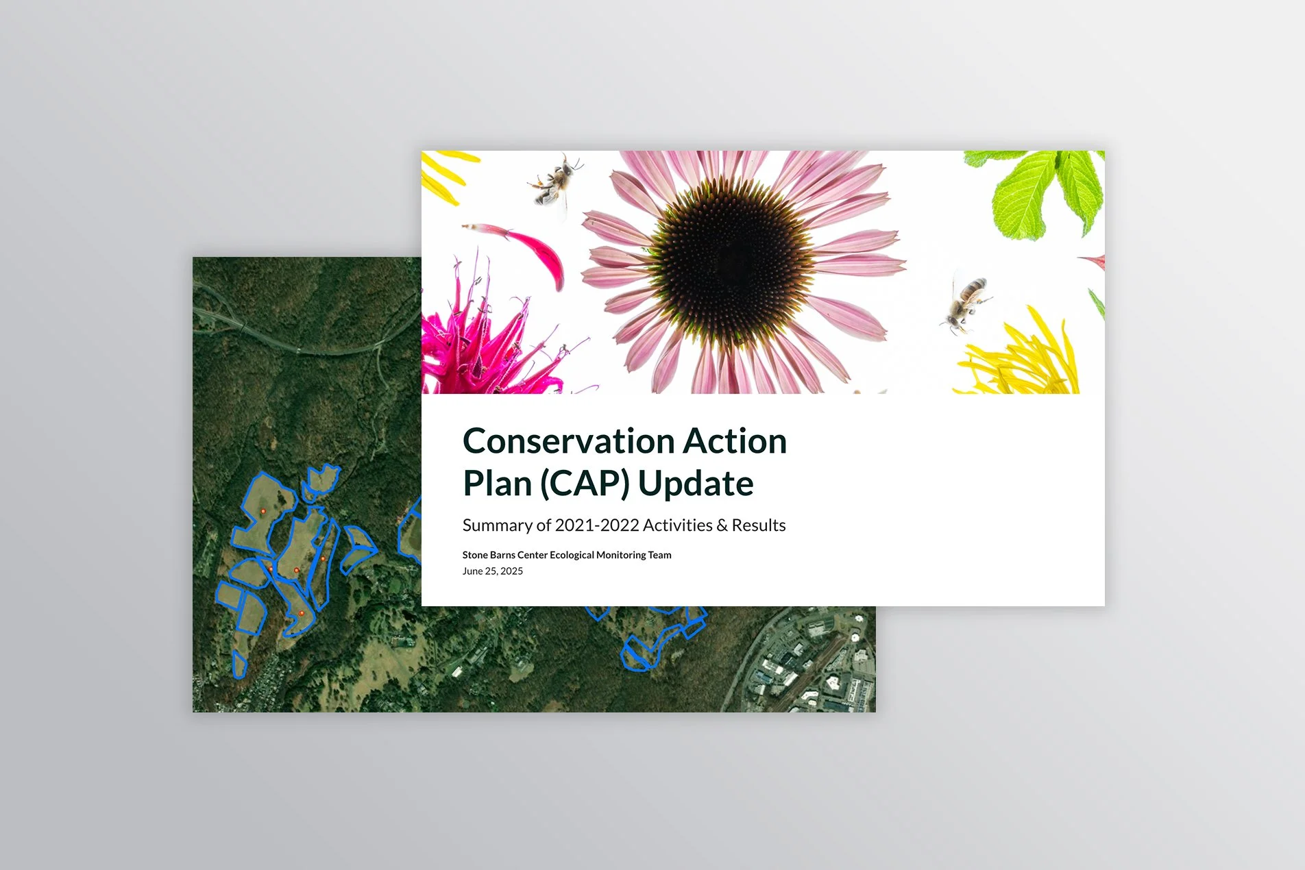 Conservation Action Plan (CAP) Update