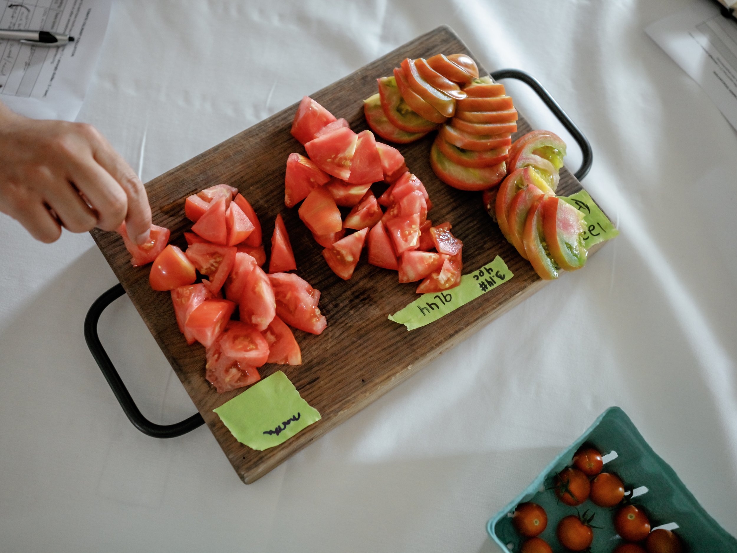 Member Cooking Class | Tomatoes