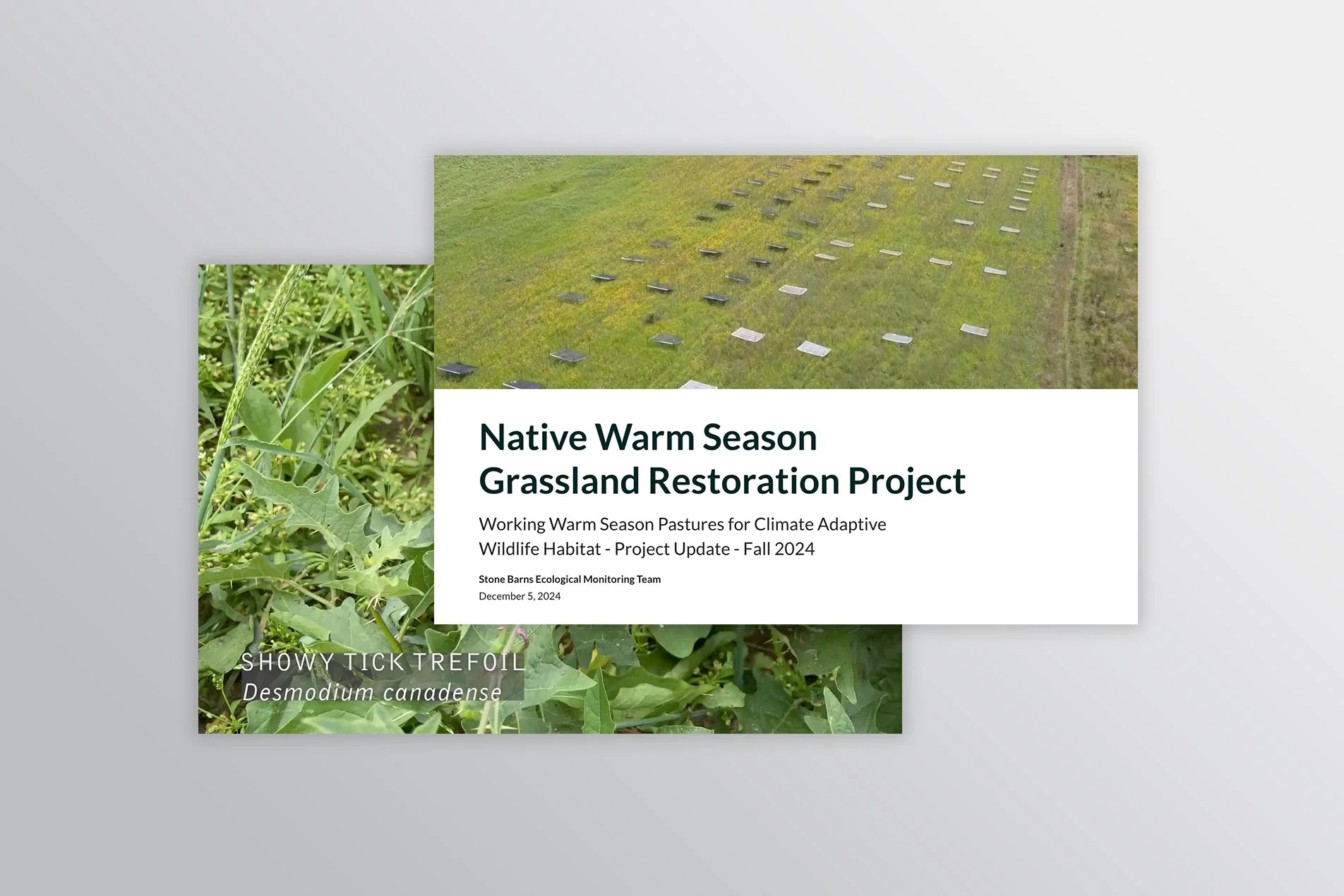 Native Warm Season Grassland Restoration Project