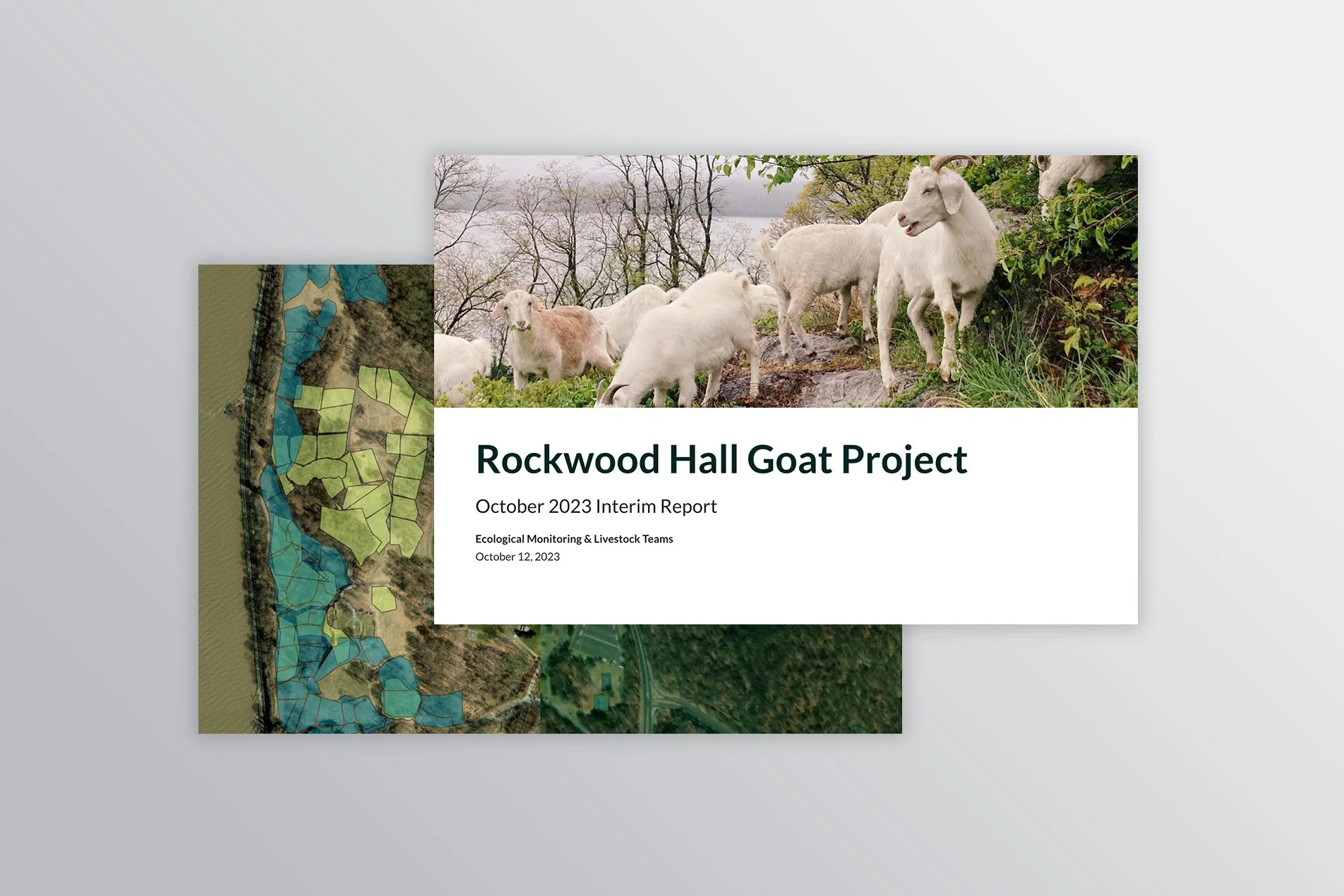 Rockwood Hall Goat Project