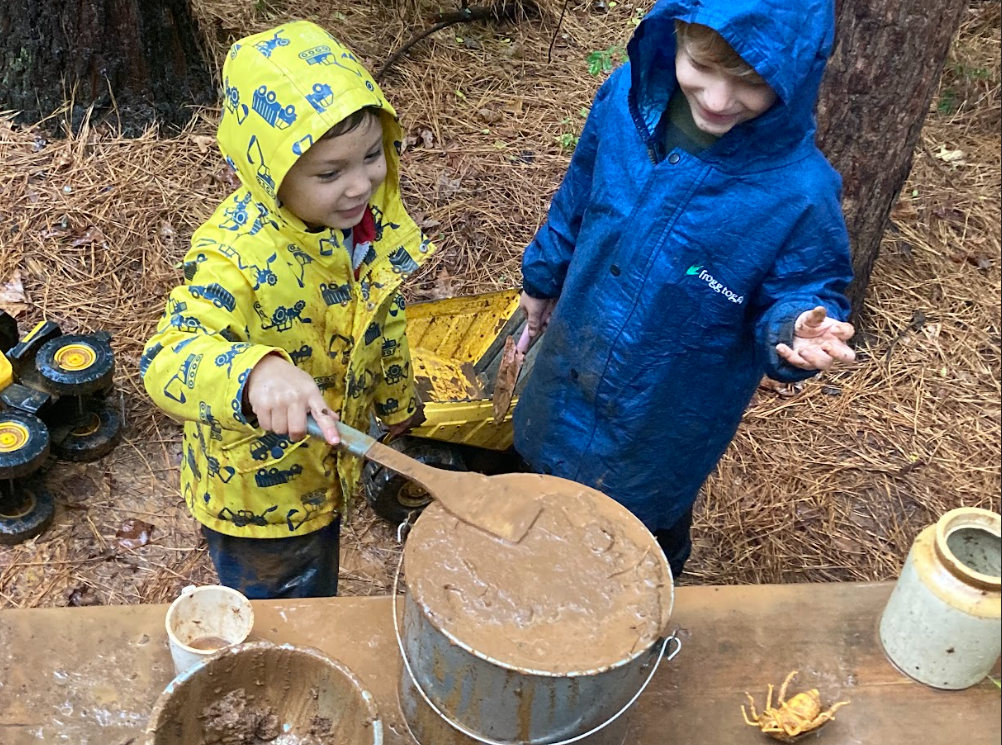 Kindergarten Chickadees: November 18-22, 2024 