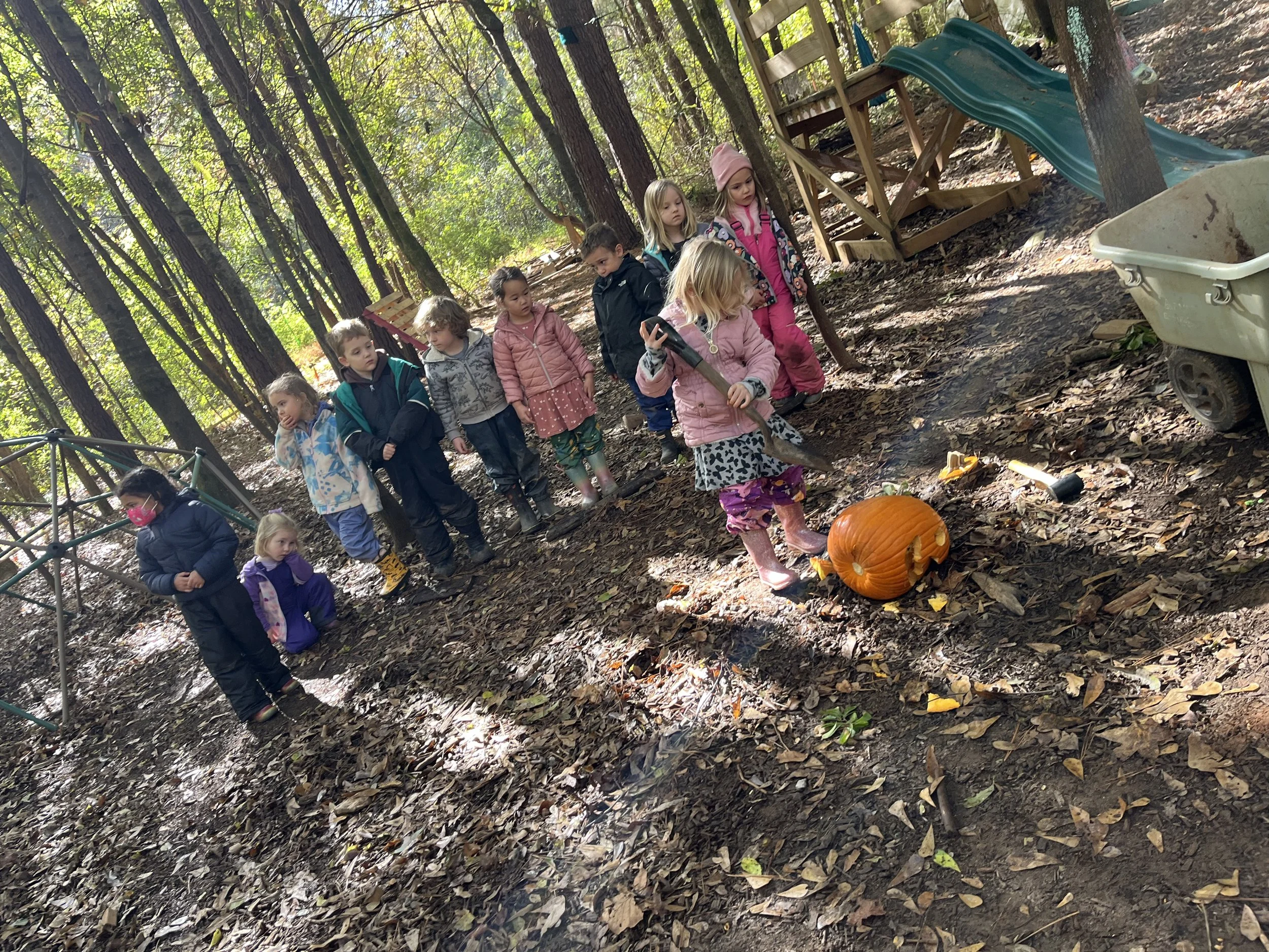 Kindergarten Turtles: November 3 - 7, 2025 