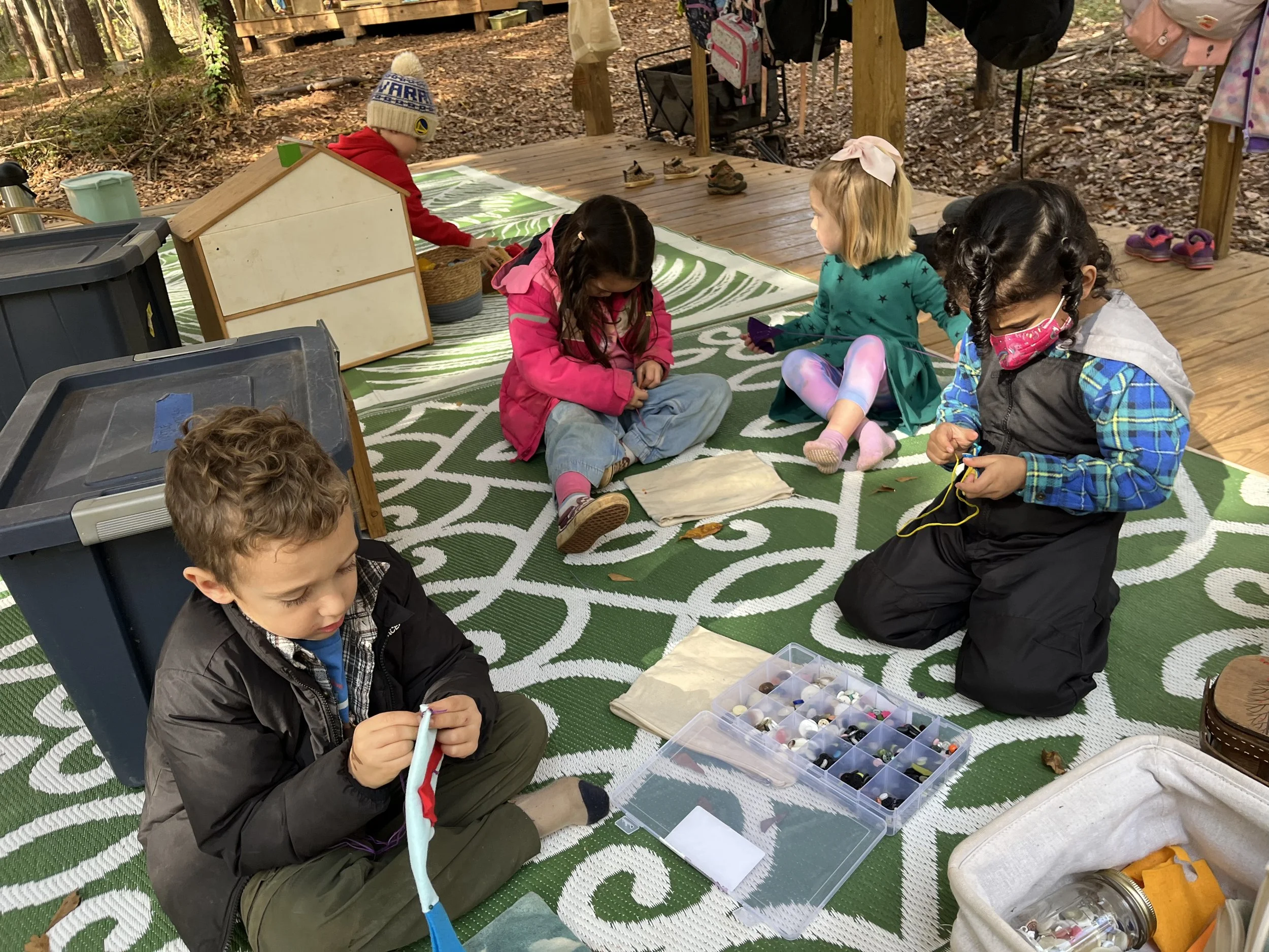 Kindergarten Turtles: November 10-14, 2025 