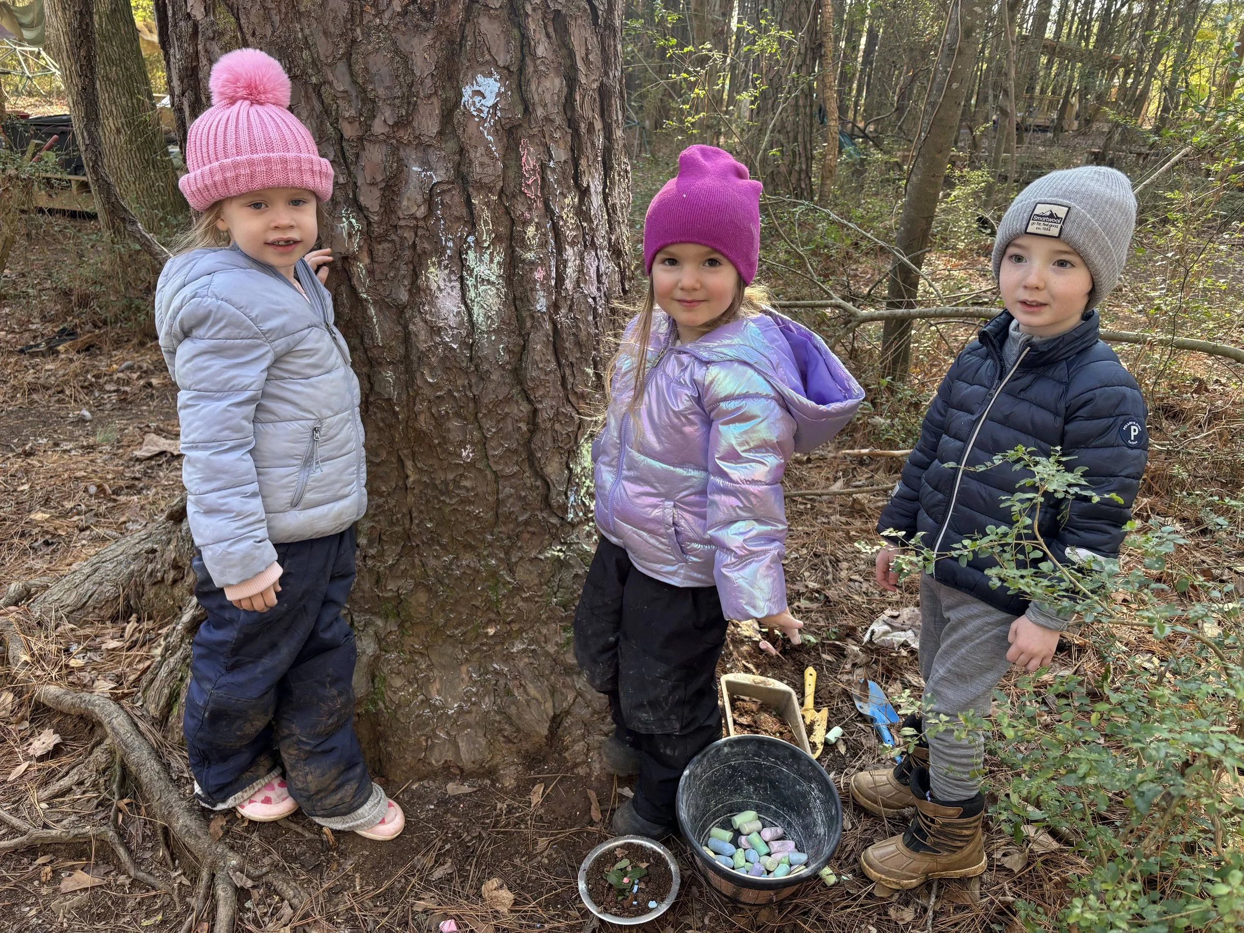 Kindergarten Honeybees: December 8-12, 2025 