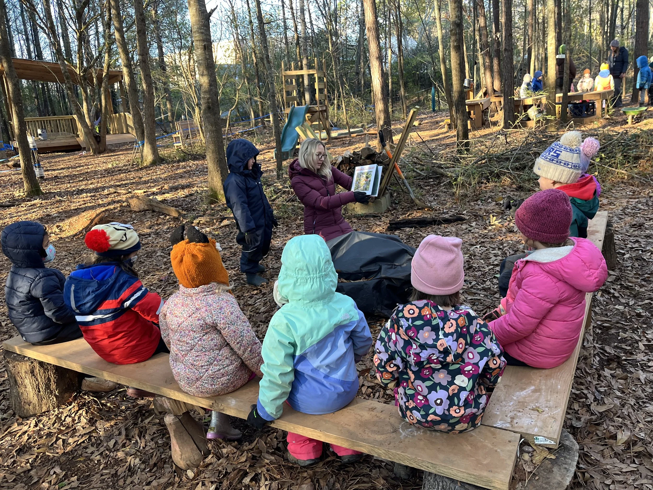 Kindergarten Turtles: December 8-12, 2025 