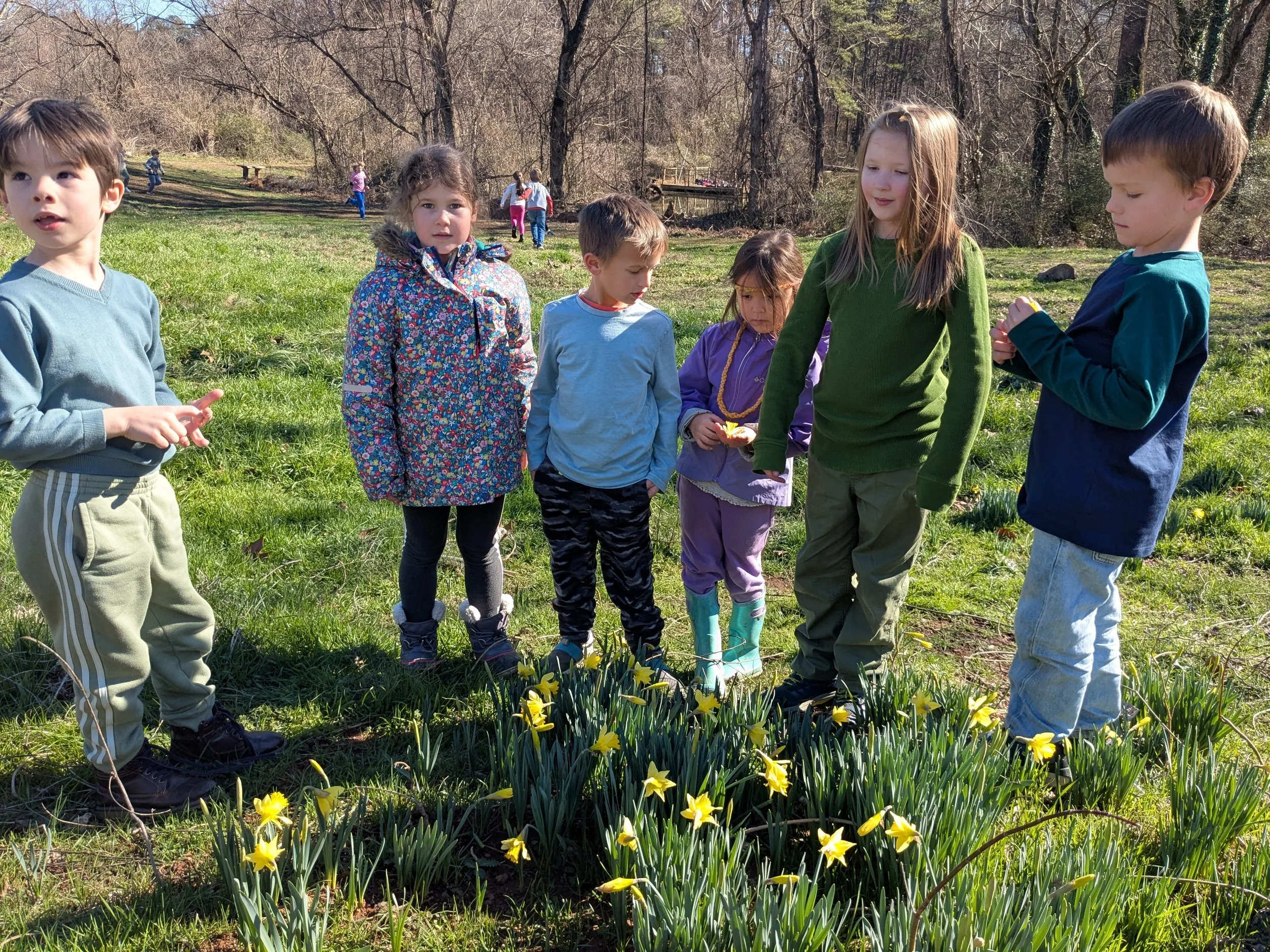 First Grade: January 12 - 16, 2026 