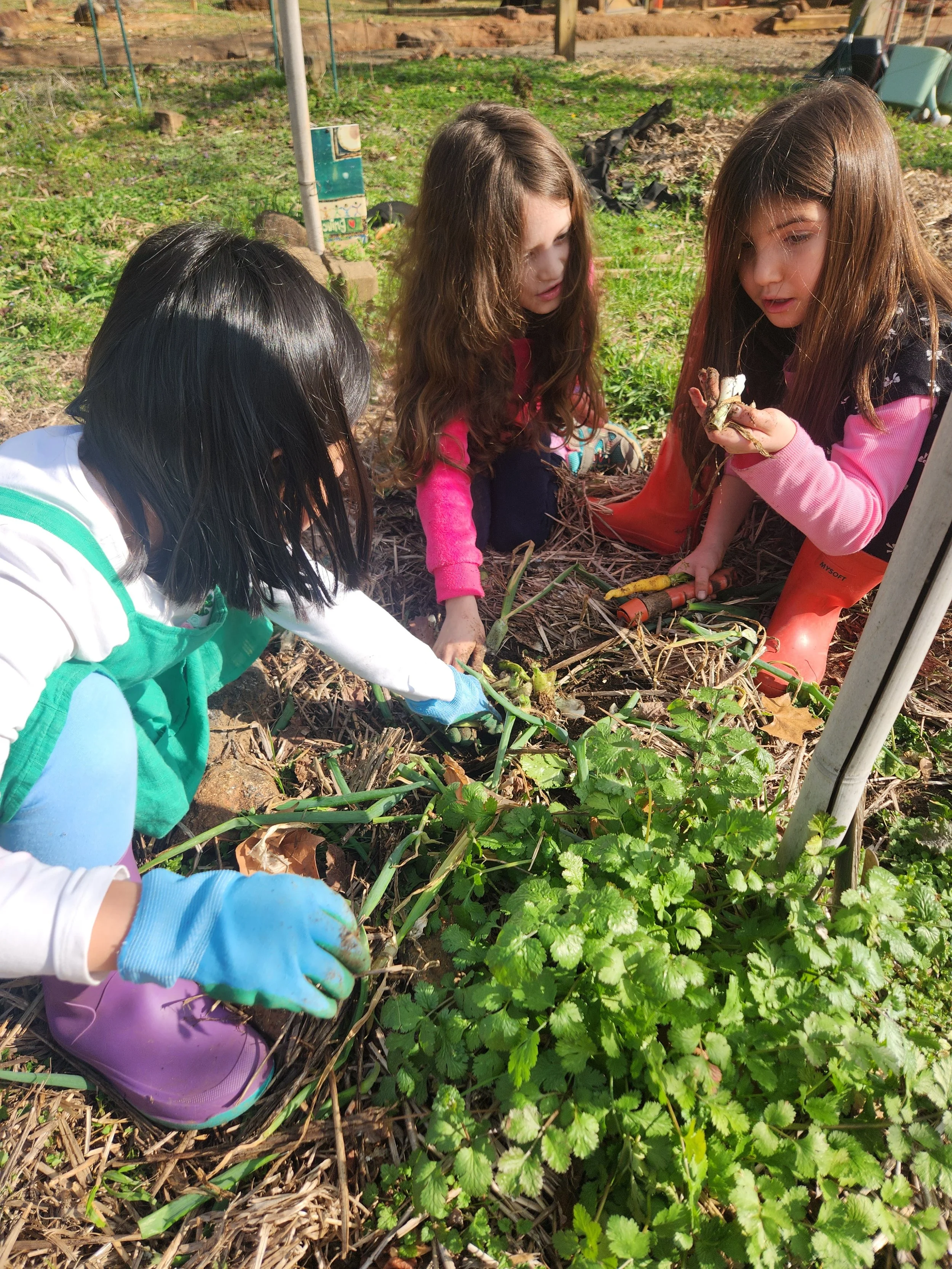 Speciality Highlight January 2026: Farm &amp; Earth Education