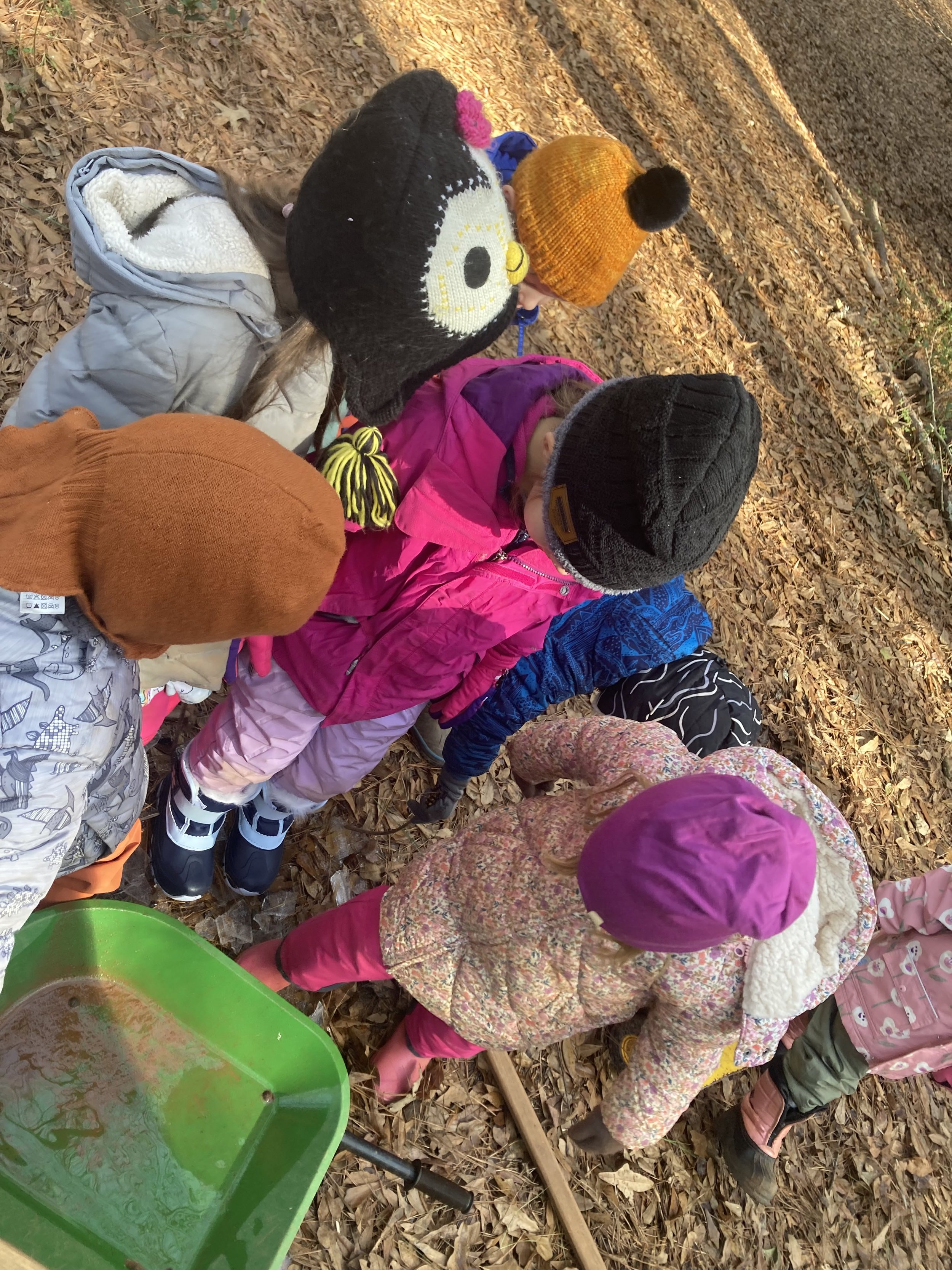 Kindergarten Chickadees: January 26 - 30, 2026