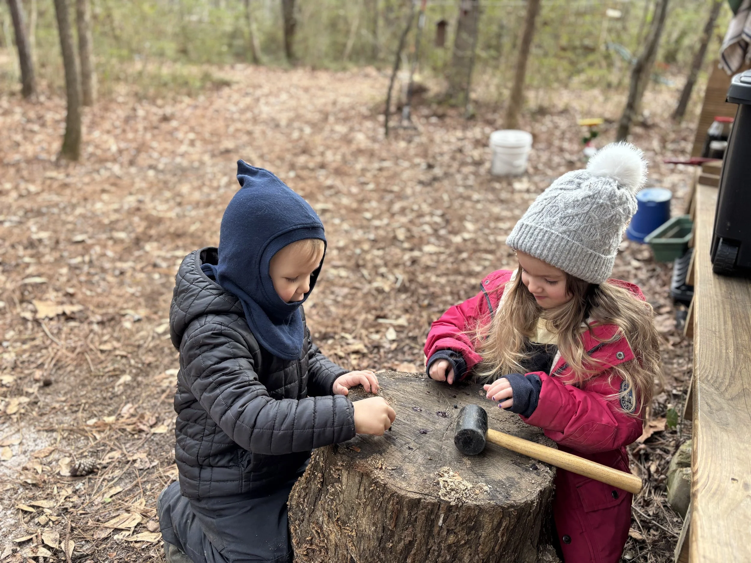 Kindergarten Honeybees: January 26 - 30, 2026