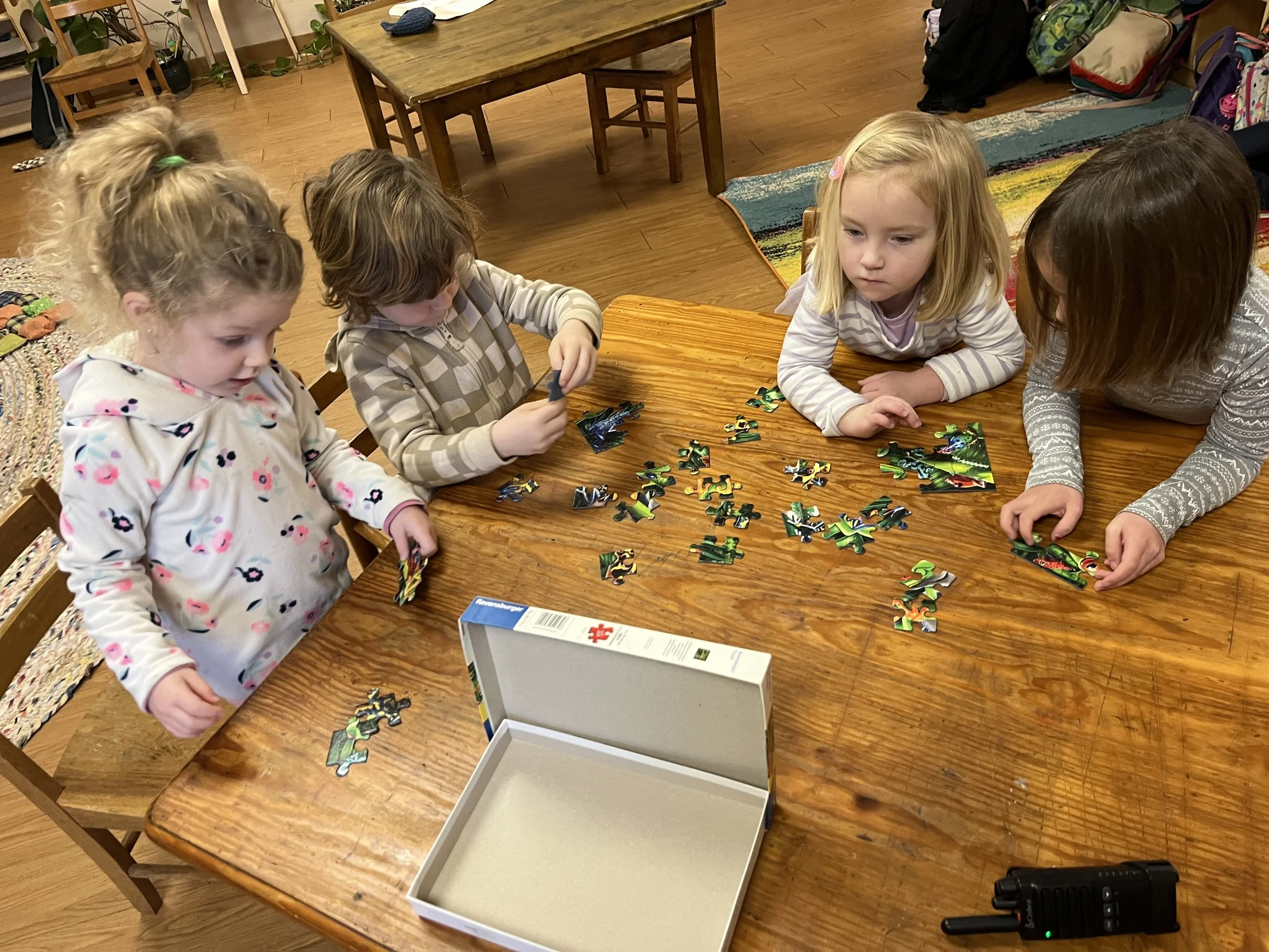 Kindergarten Turtles: January 26 - 30, 2026 