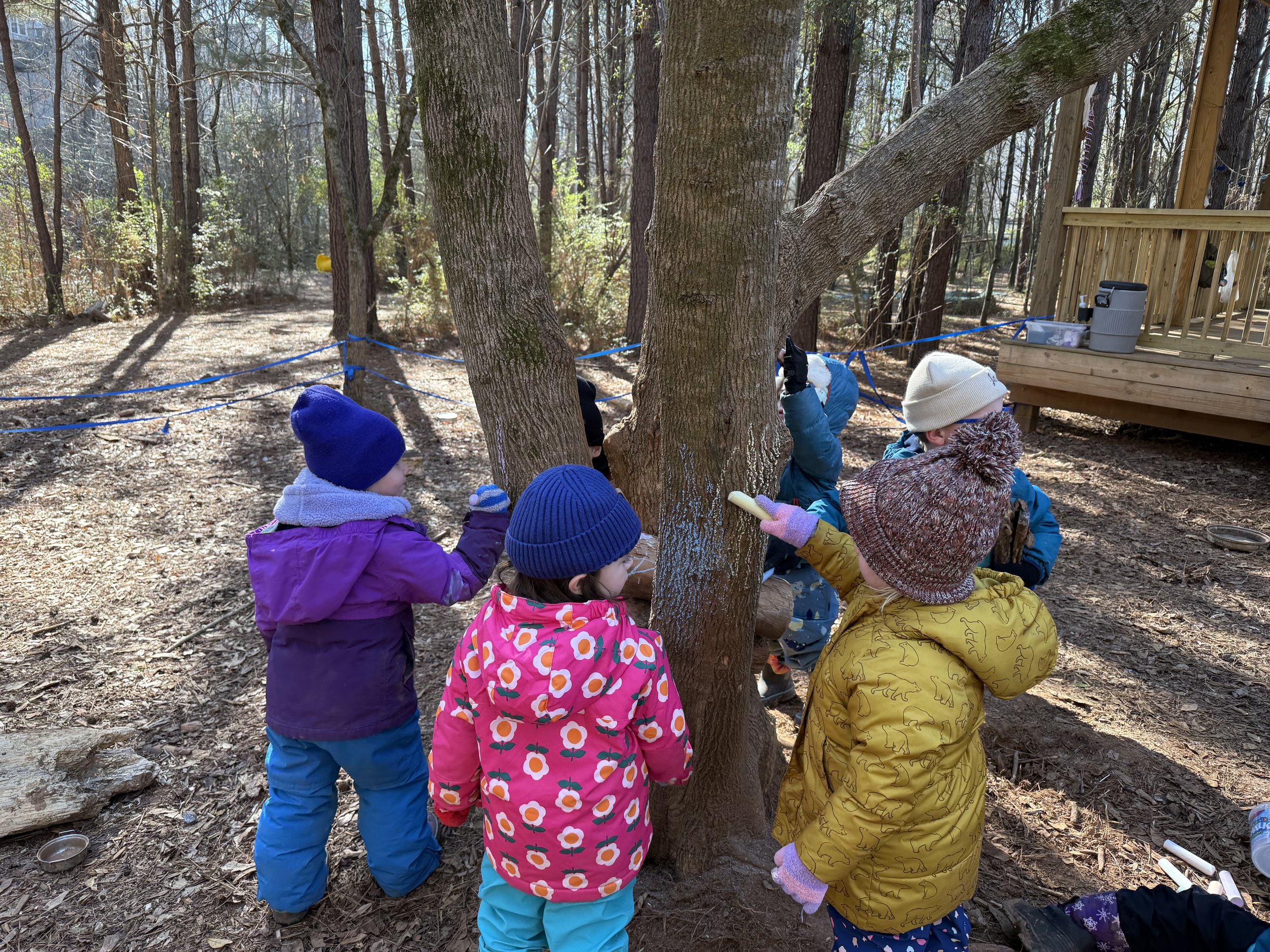 Joyful Beginnings Bluebirds: January 26 - 30, 2026