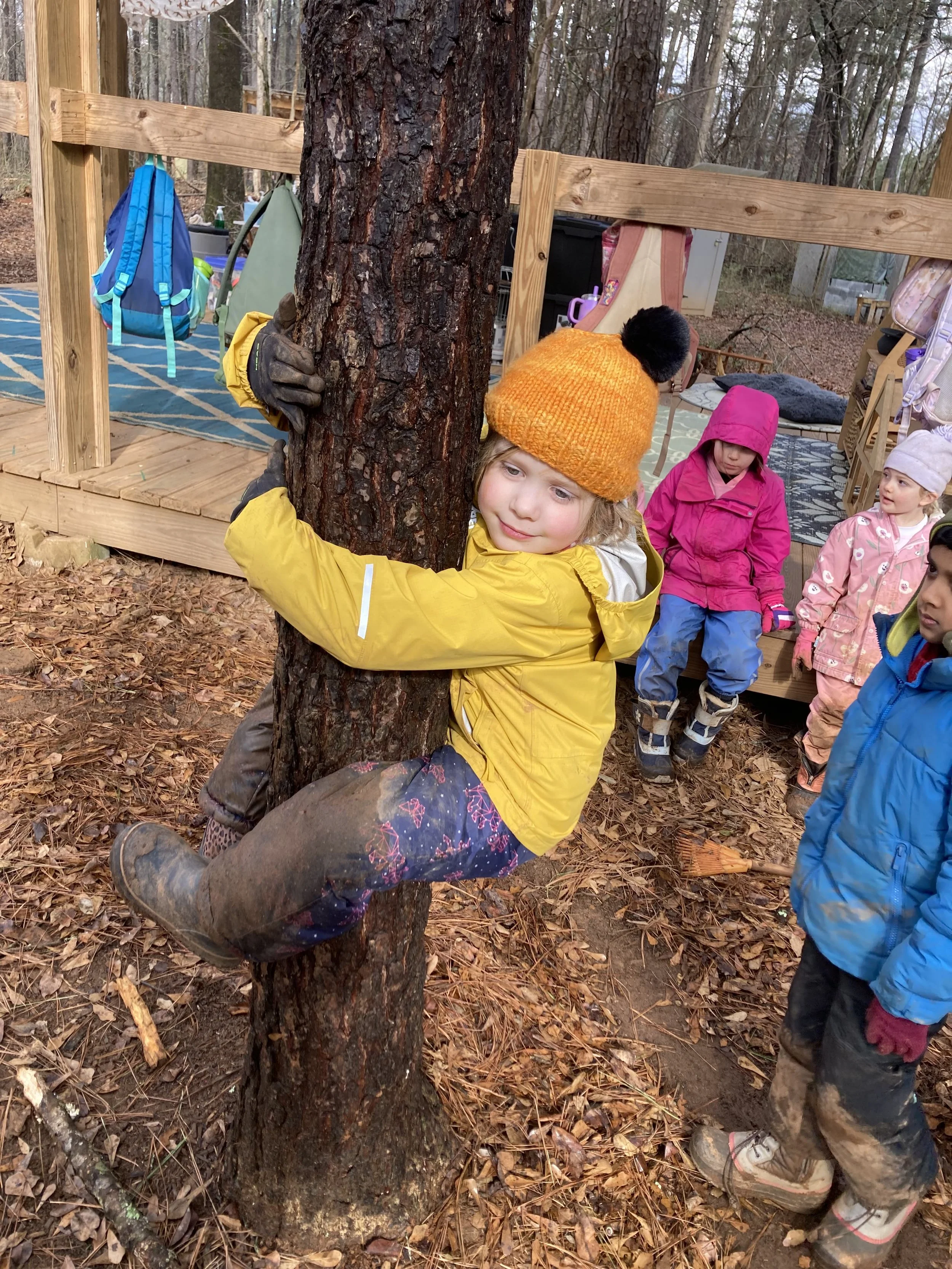 Kindergarten Chickadees: February 2 - 6, 2026 