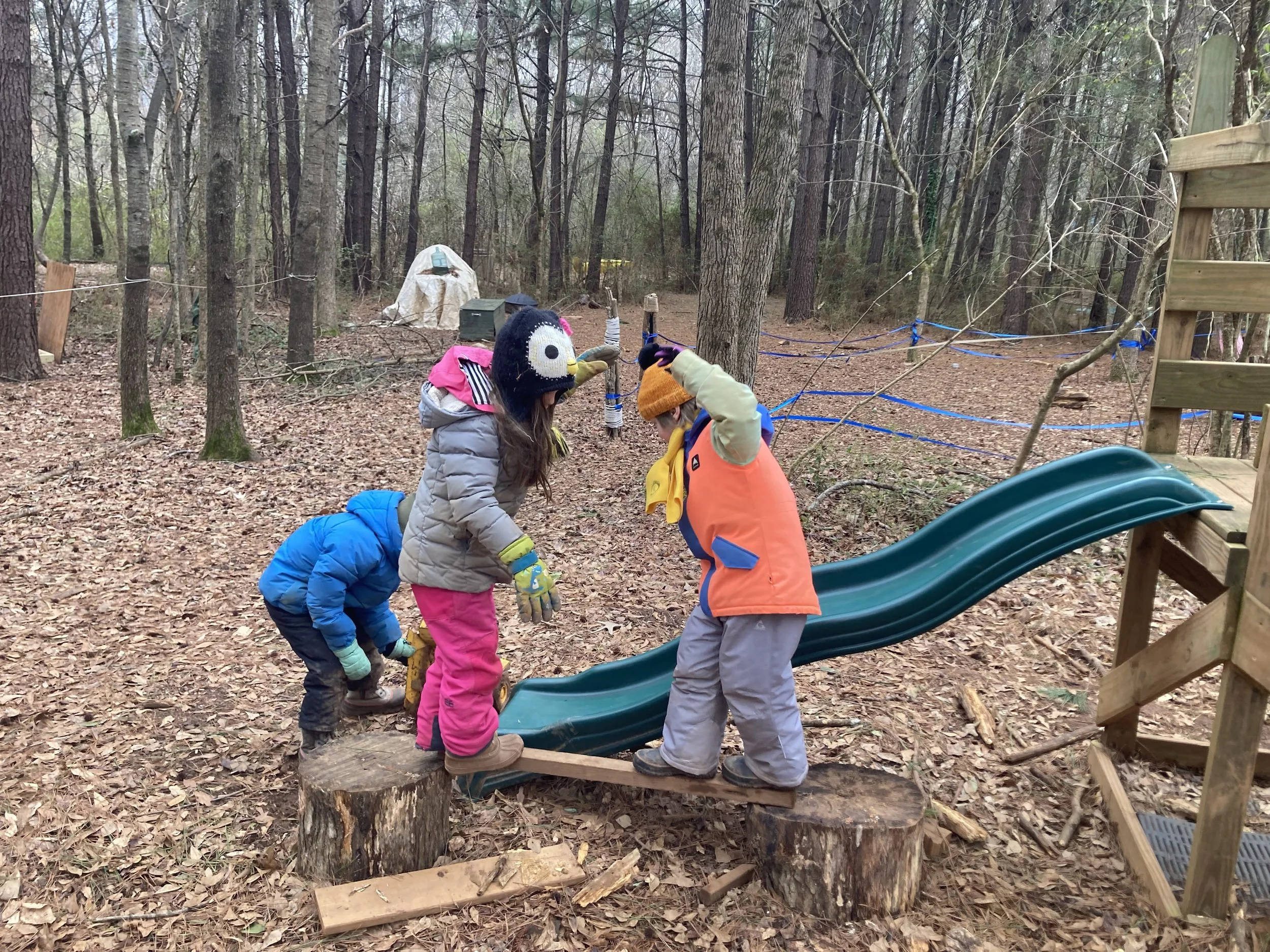 Kindergarten Chickadees: February 9-13, 2026 