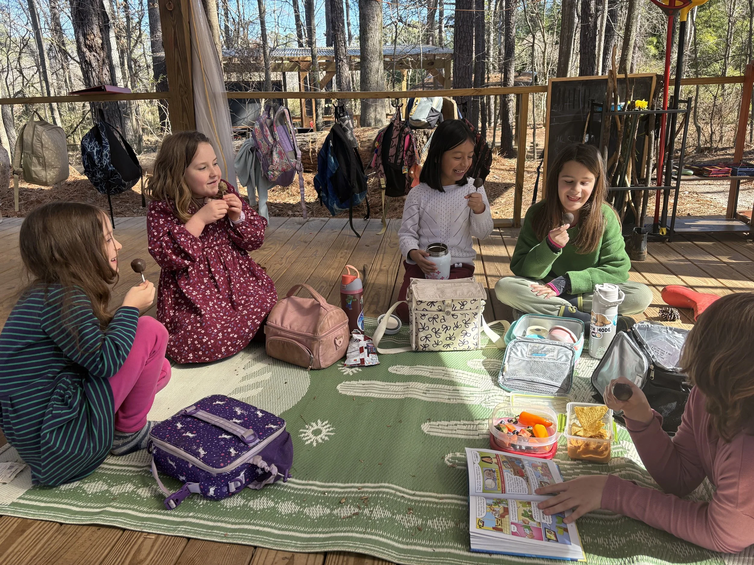 Second &amp; Third Grade: February 9-13, 2026 