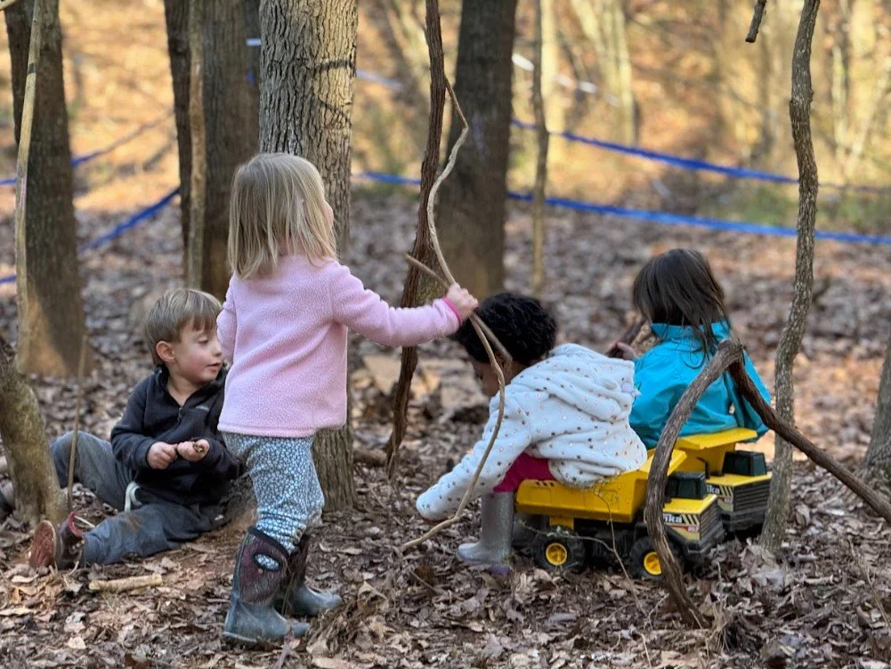 Joyful Beginnings Bluebirds: February 9-13, 2026