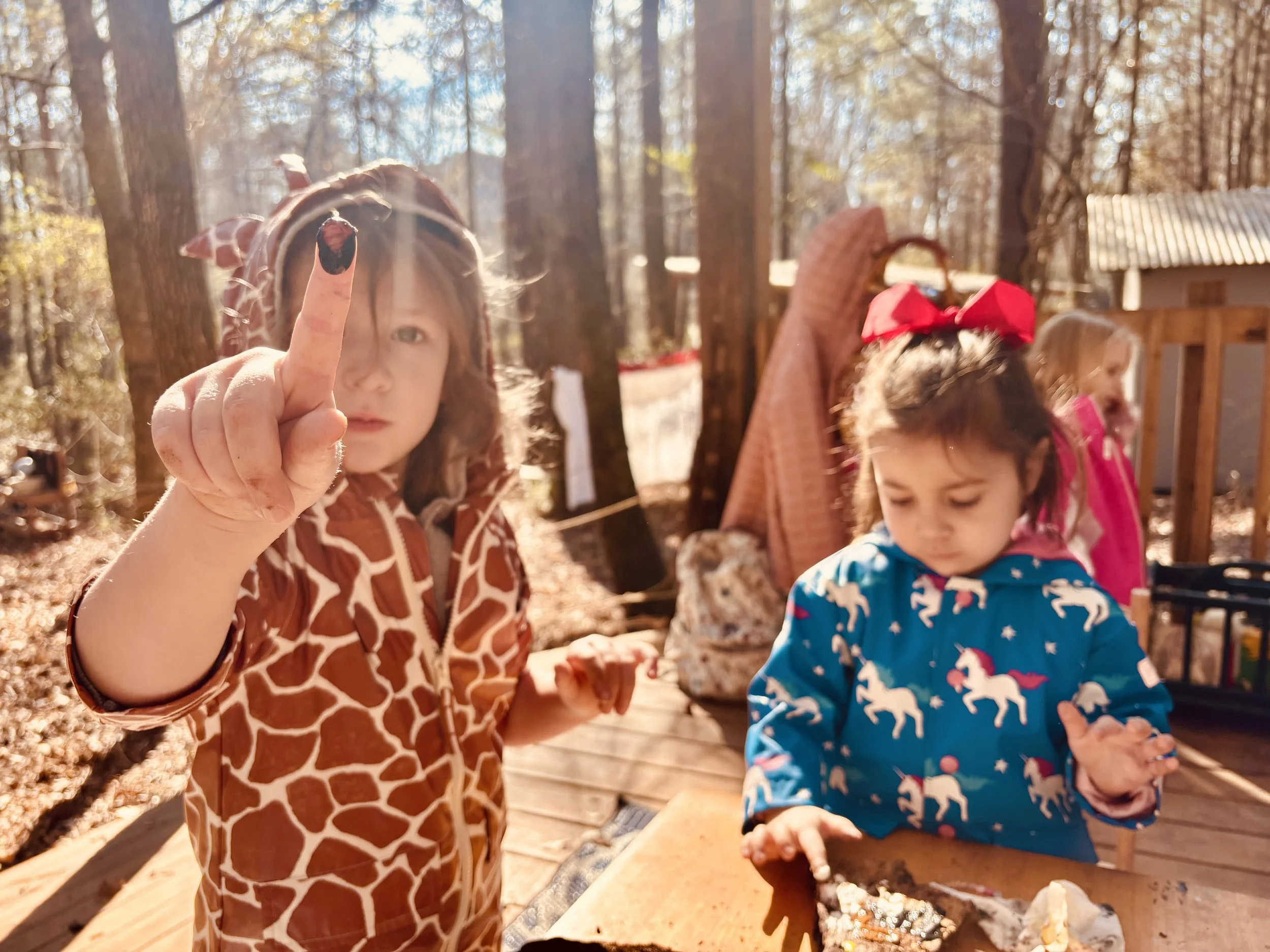 Joyful Beginnings Hummingbirds: February 9-13, 2026 