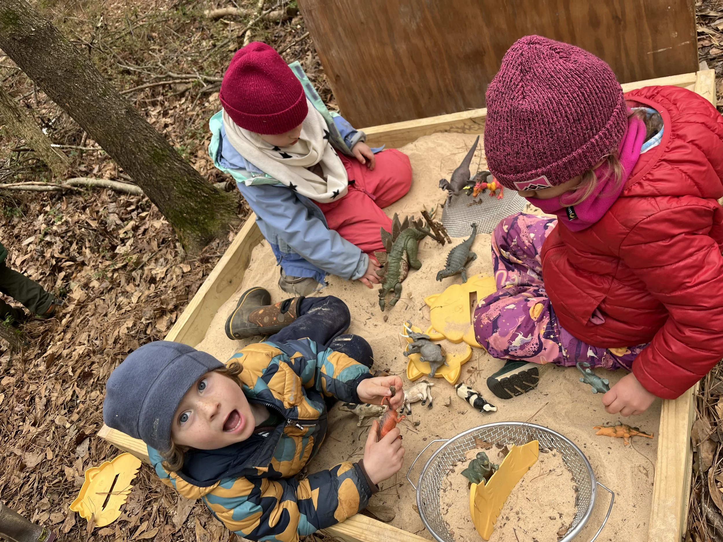 Kindergarten Turtles: February 23-27, 2026