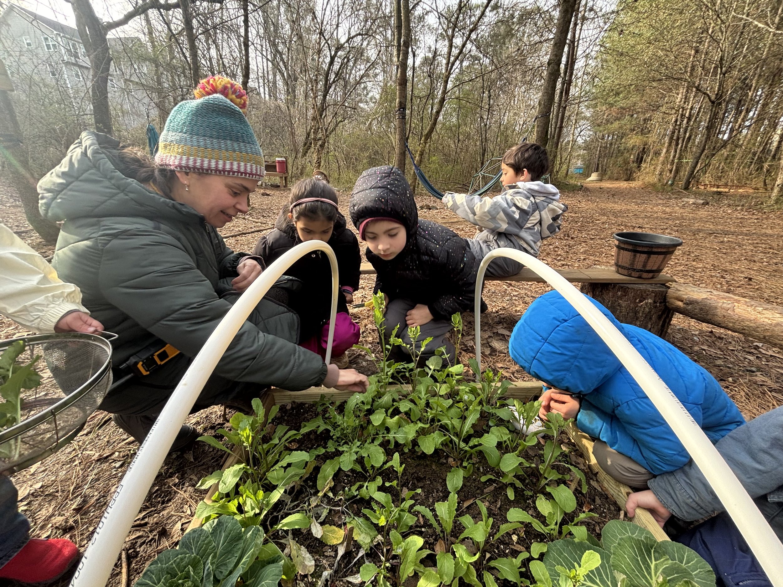 Kindergarten Honeybees: February 23-27, 2026