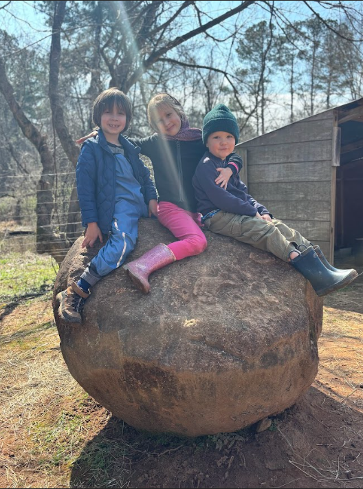 Kindergarten Honeybees: March 2-5, 2026 