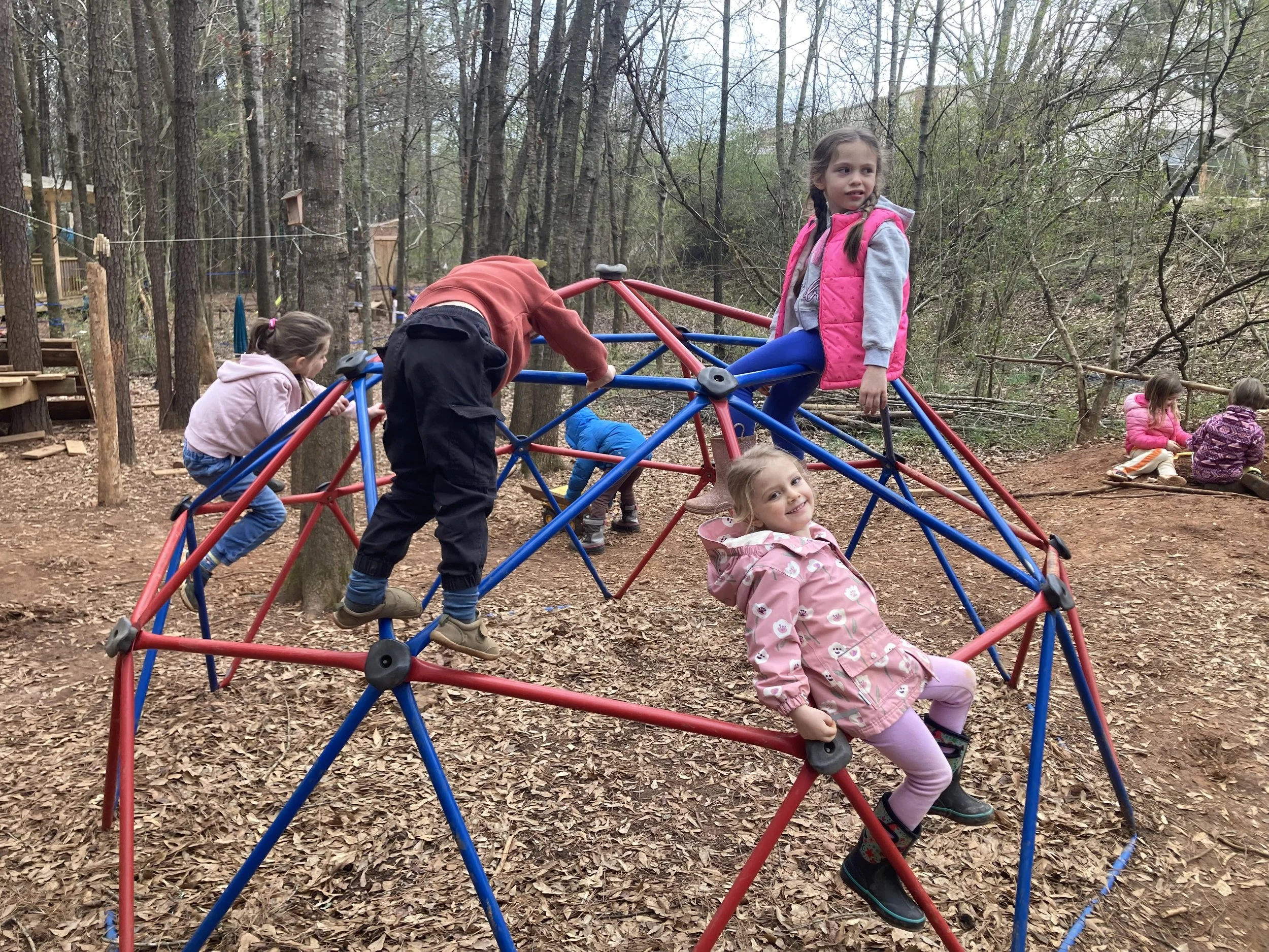 Kindergarten Chickadees: March 2-5, 2026 