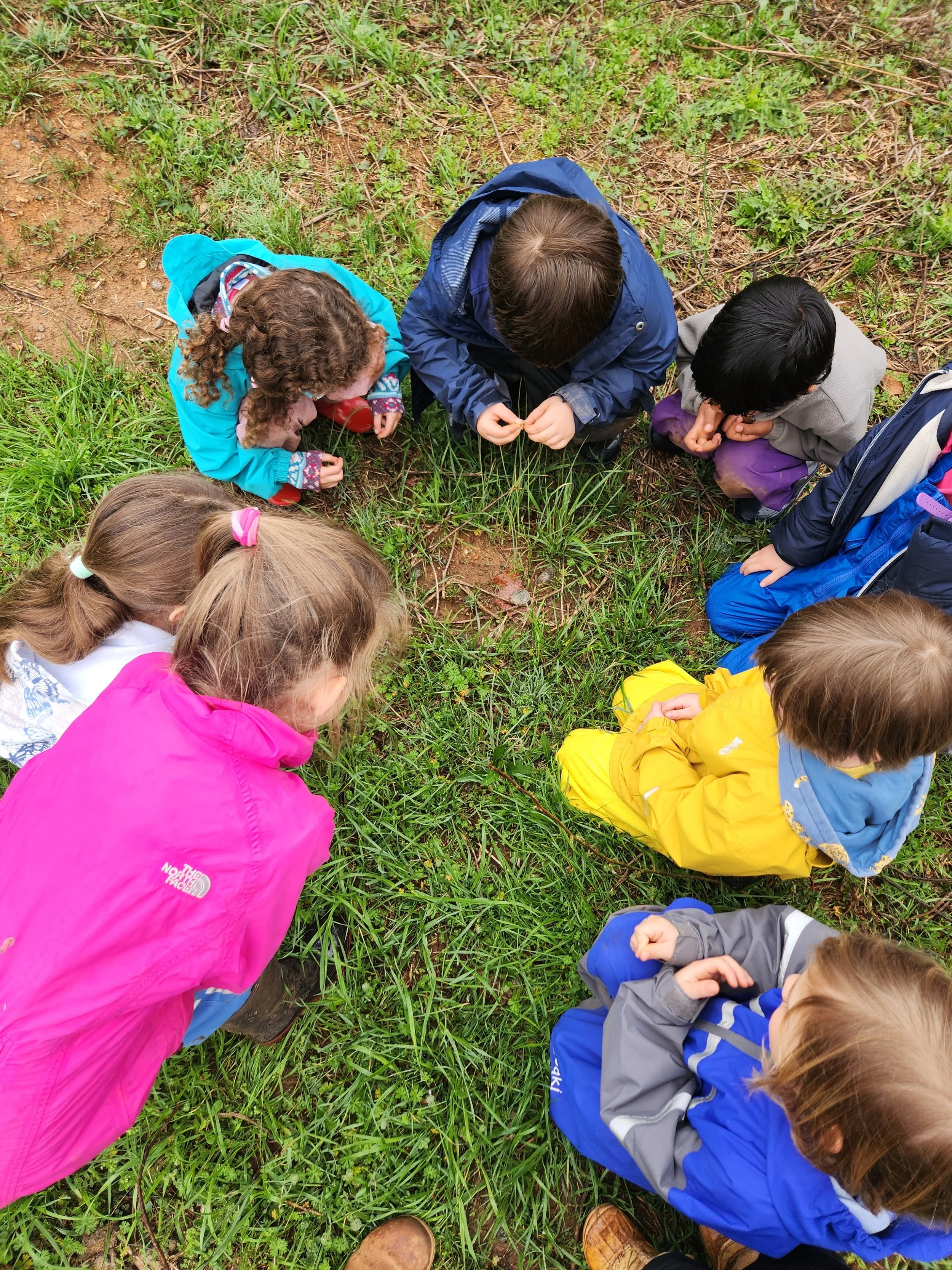 Kindergarten Chickadees: March 9 - 13, 2026 